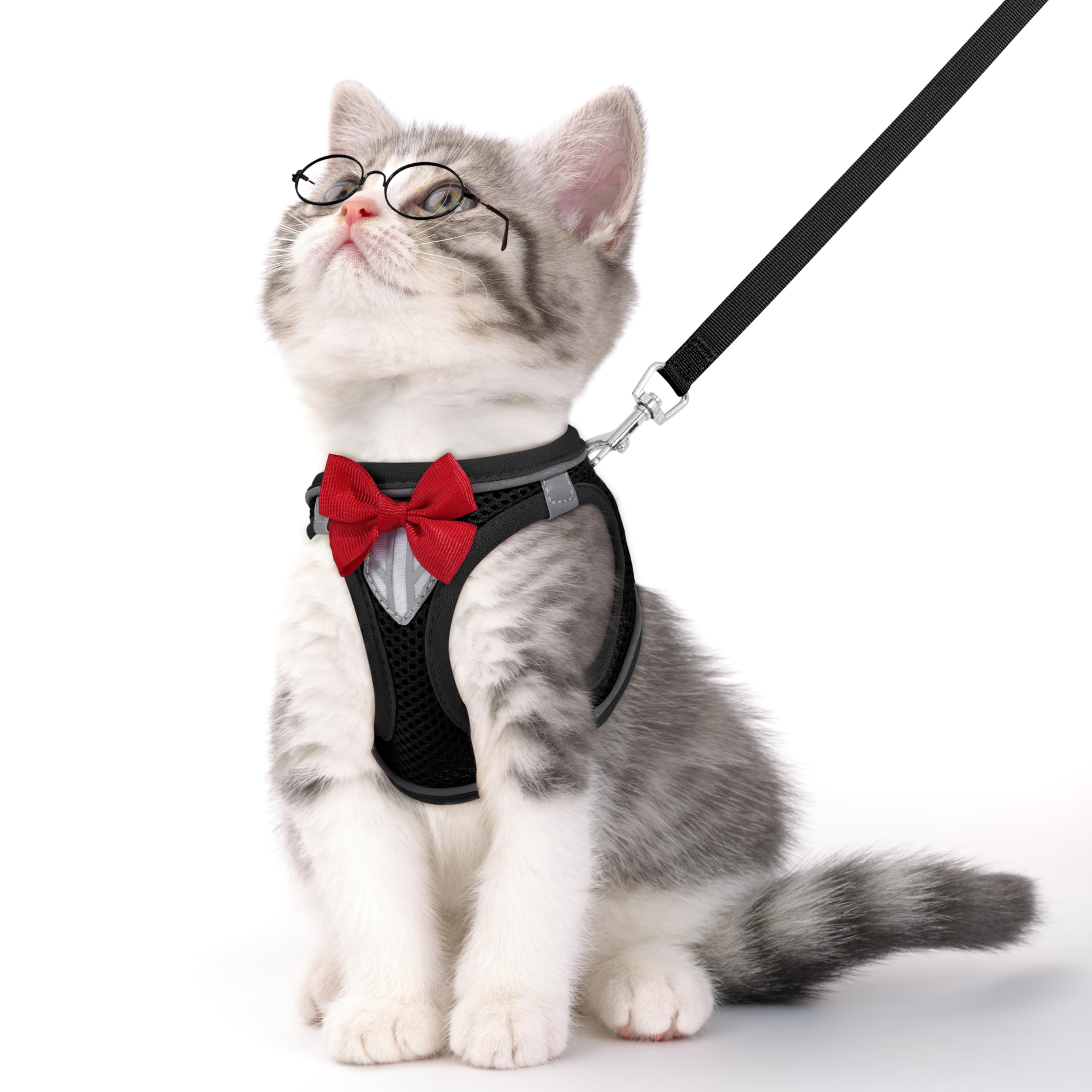 Cat Vest Harness and Leash Set for Walking Escape Proof, Adjustable Kitten Harness Breathable Mesh with Reflective Strips Harness for Kitty Puppy