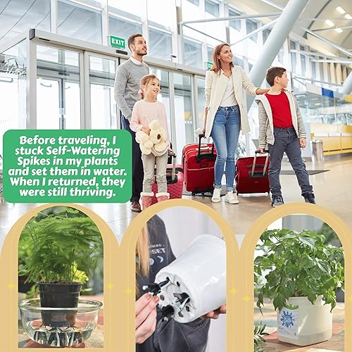 Miniatura 7 de GreenShip Paquete de 4 estacas patentadas de riego automático  Sistema de riego de plantas de interior para plantas de interior, se adapta a macetas