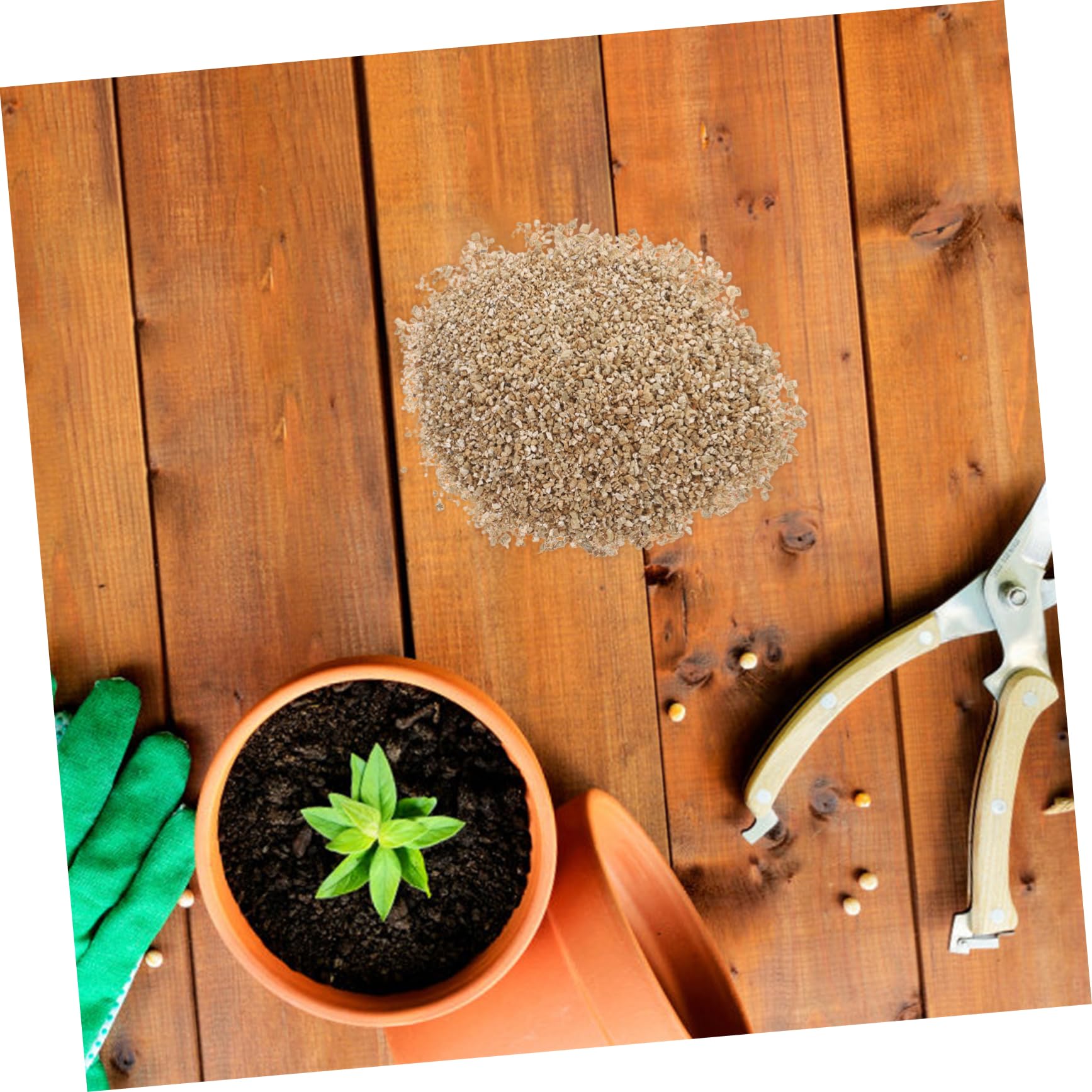 Vermiculit 3 L Beutel mit Neutralem pH für Pflanzen und Pilze | Verbessert Bodenbelüftung Sowie Feuchtigkeitsspeicherung, Geeignet für Hausgarten, Landwirtschaft als Substrat