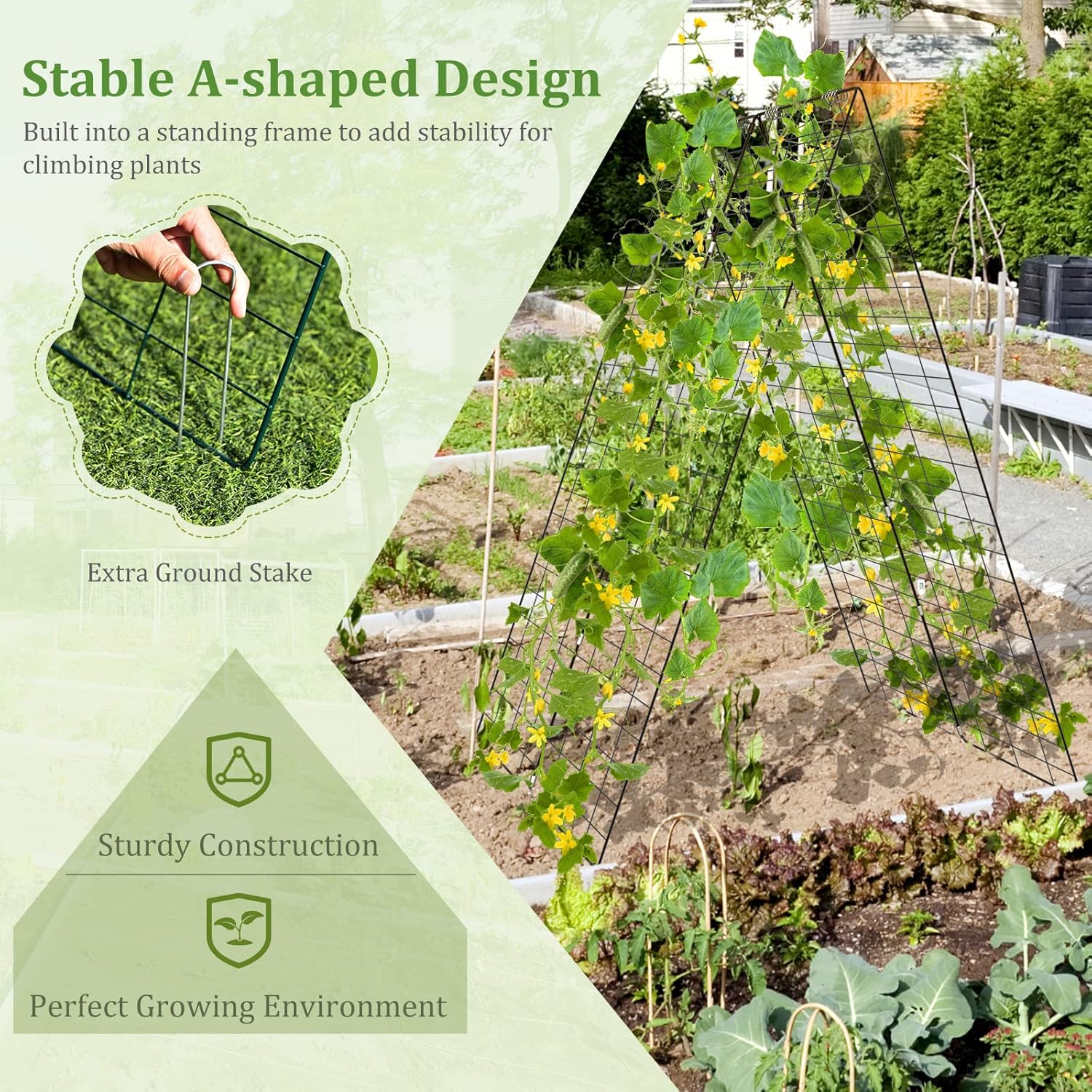 S AFSTAR 46 x 34 Inch Cucumber Trellis for Garden, 4 PCS Foldable A-Shape Plant Support W/18 Clips, 8 Ground Stakes, 4 Spiral Connectors, 12 Cable Tie, Twist Tie, Garden Trellis for Climbing Plants