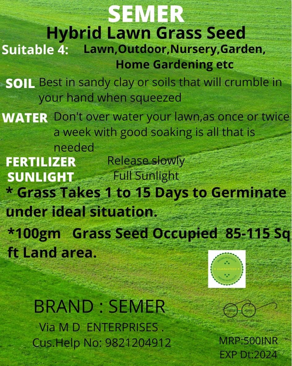 SEMER Lawn Grass Seeds -2 packets (Each packet contain Approx 35 gram seeds)
