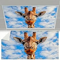 Vista 11 de Cubiertas de luz fluorescente para luces de techo, cubierta magnética de nube para lámparas fluorescentes o LED de 2 pies x 4 pies para aula, hogar