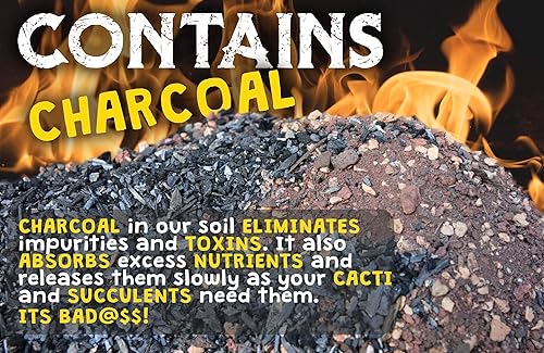 Miniatura 4 de Mezcla para macetas de cactus de alto drenaje con hongos micorrícicos, 8 libras / 4 cuartos de galón de tierra para suculentas y cactus, suelo