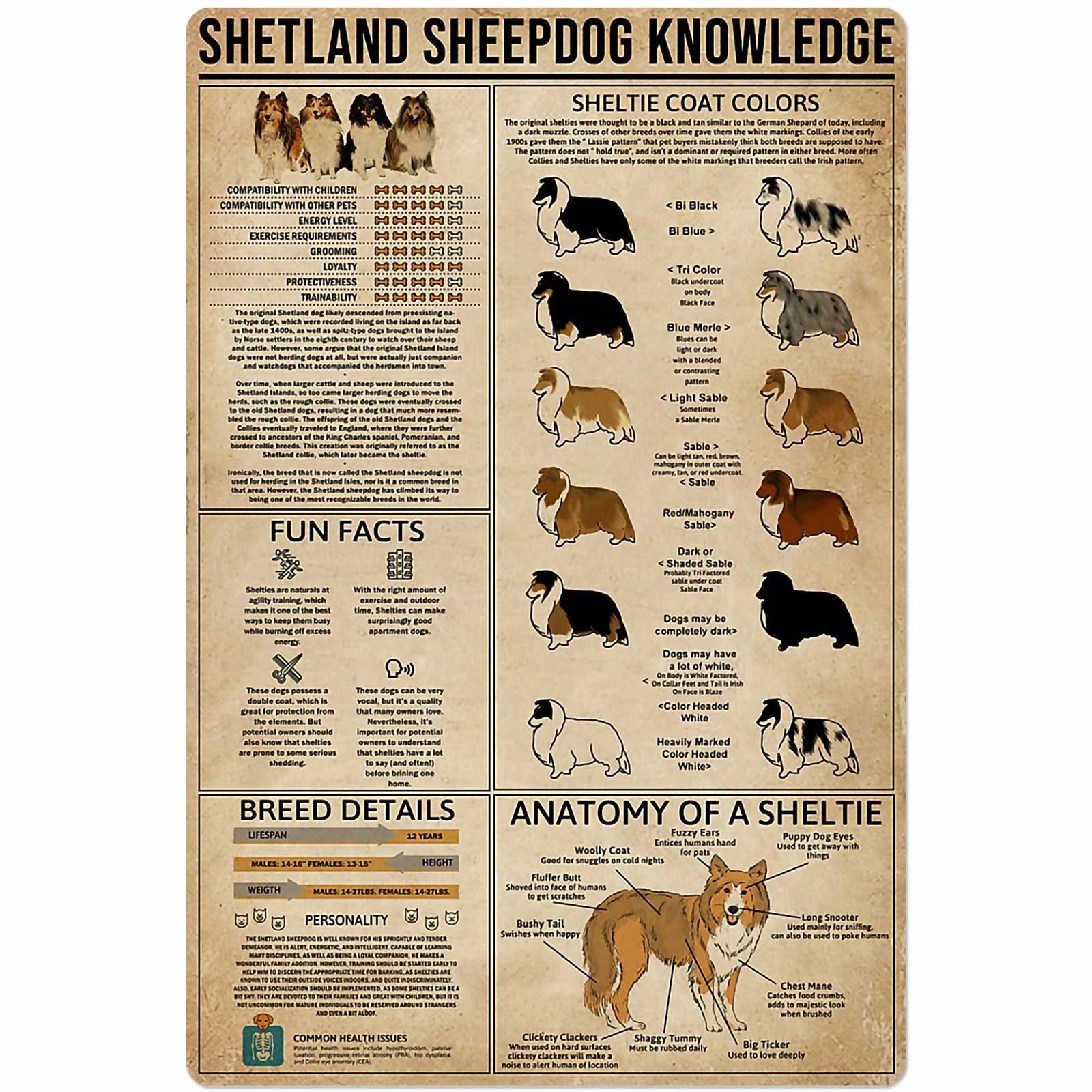 Iubbki Shetland Sheepdog Knowledge Dog Knowledge Metal Tin Sign Beared Collie Anatomical Chart Aluminum Poster Farm School Pet Shop Home Kitchen Club Garage Wall Decoration Vintage Plaque 12" X 16"