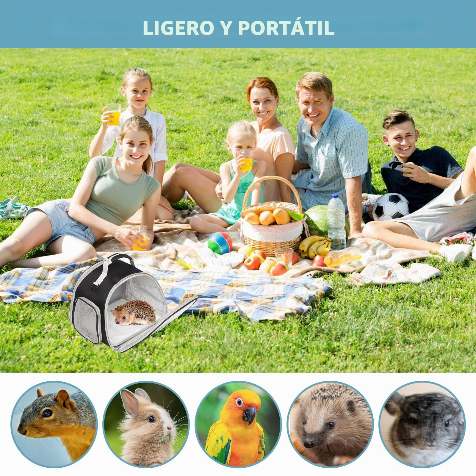 Pequeña bolsa de transporte para mascotas y animales pequeños, caja lateral para gatos, bolsa para cobayas
