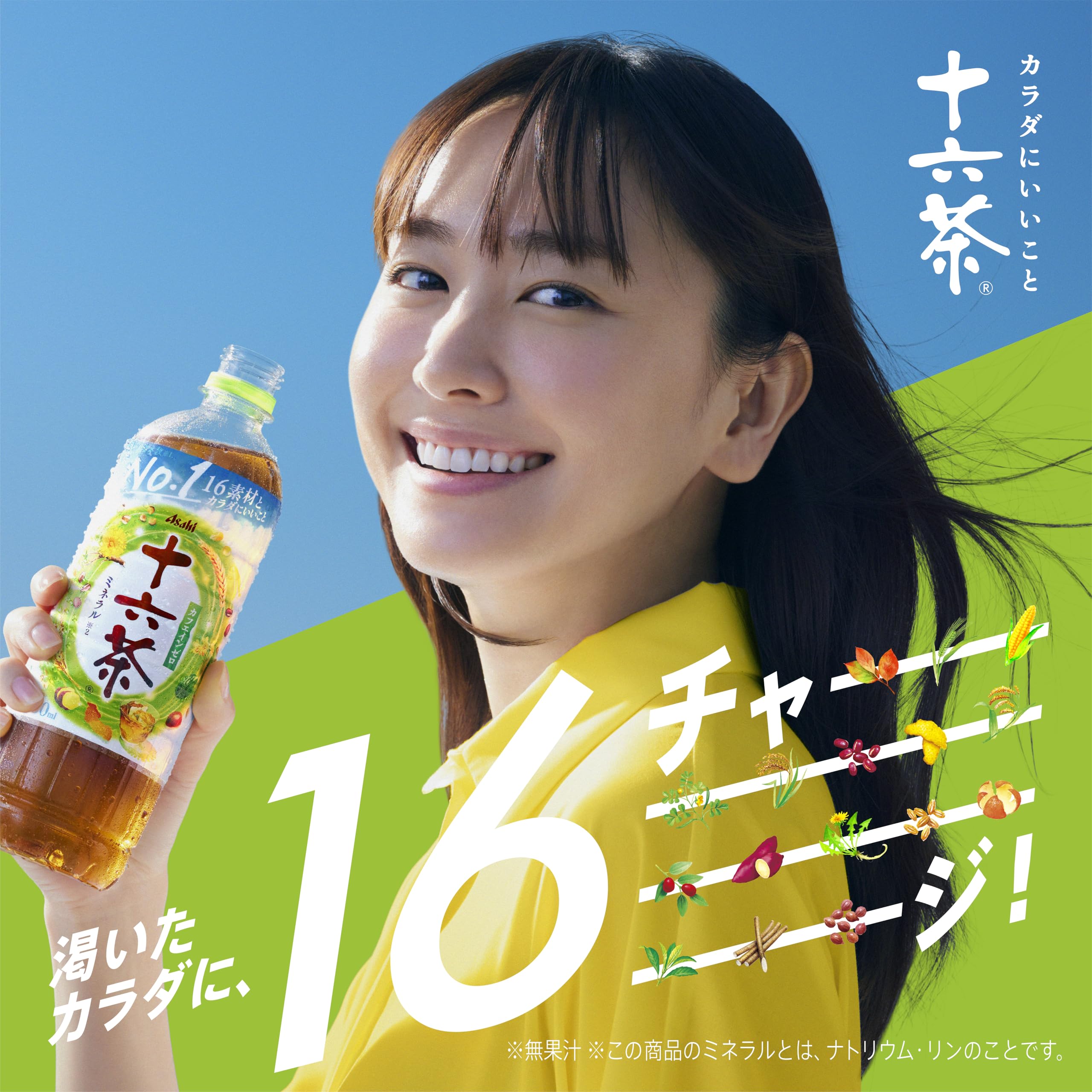 Amazon.co.jp: 十六茶 ルイボスブレンド 630ml×24本 [お茶][ルイボス