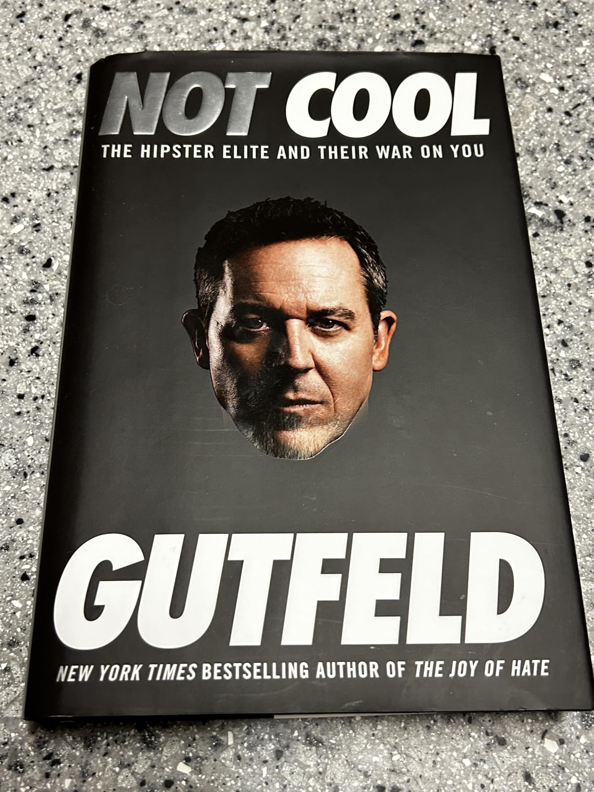 Not Cool: The Hipster Elite and Their War on You Hardcover – March 18, 2014
