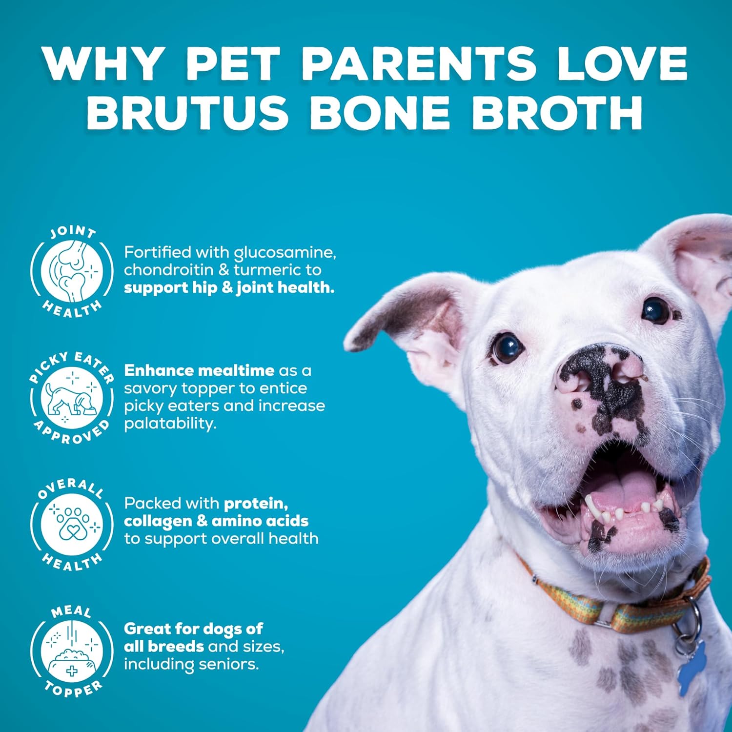 Brutus Beef Bone Broth for Dogs - All Natural Bone Broth with Chondroitin Glucosamine & Turmeric, Human Grade Food Toppers for Picky Eaters & Dry Food -Tasty & Nutritious- Pack of 2
