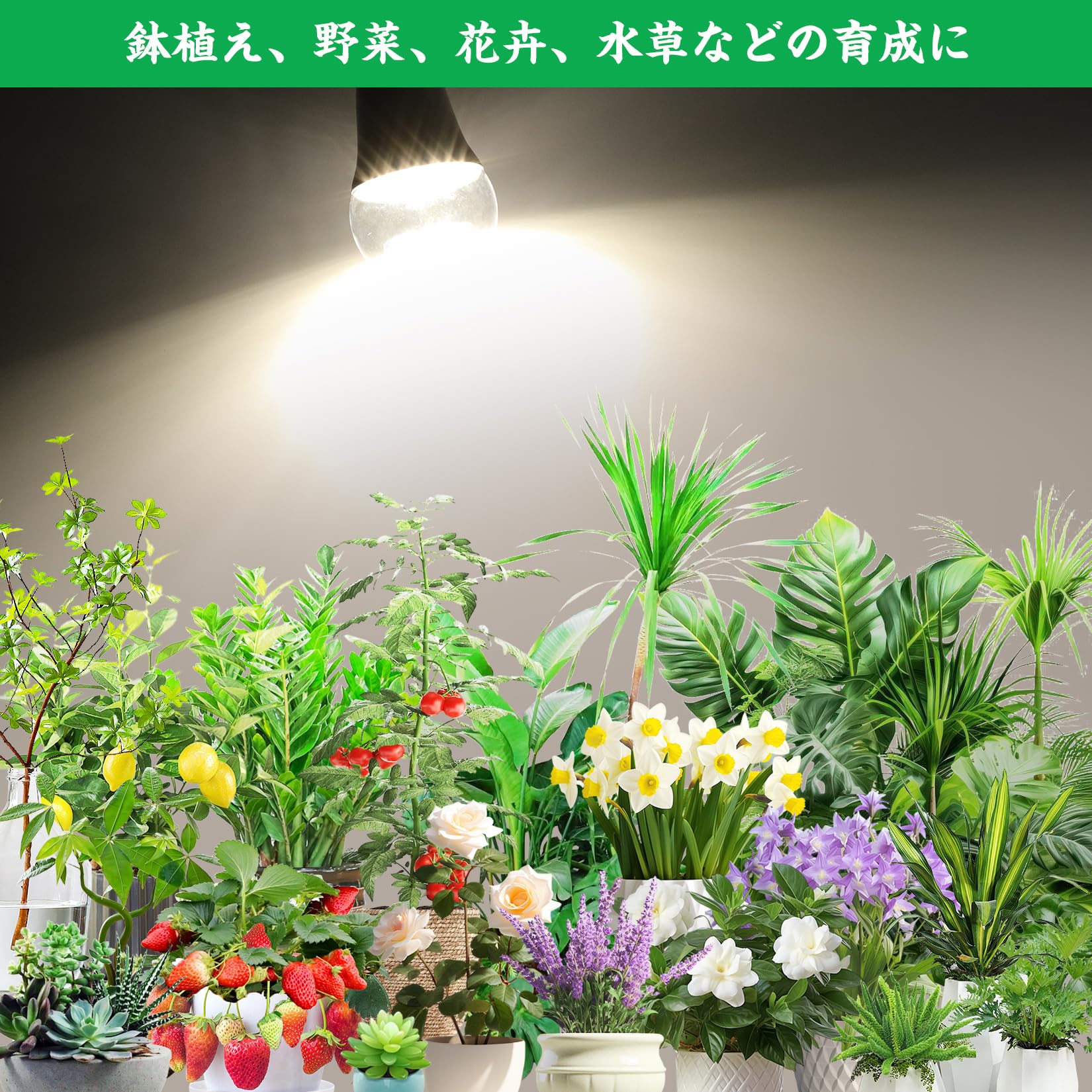 Amazon.co.jp: E26口金 植物育成ライト LED 15W 100W相当 一般電球 高
