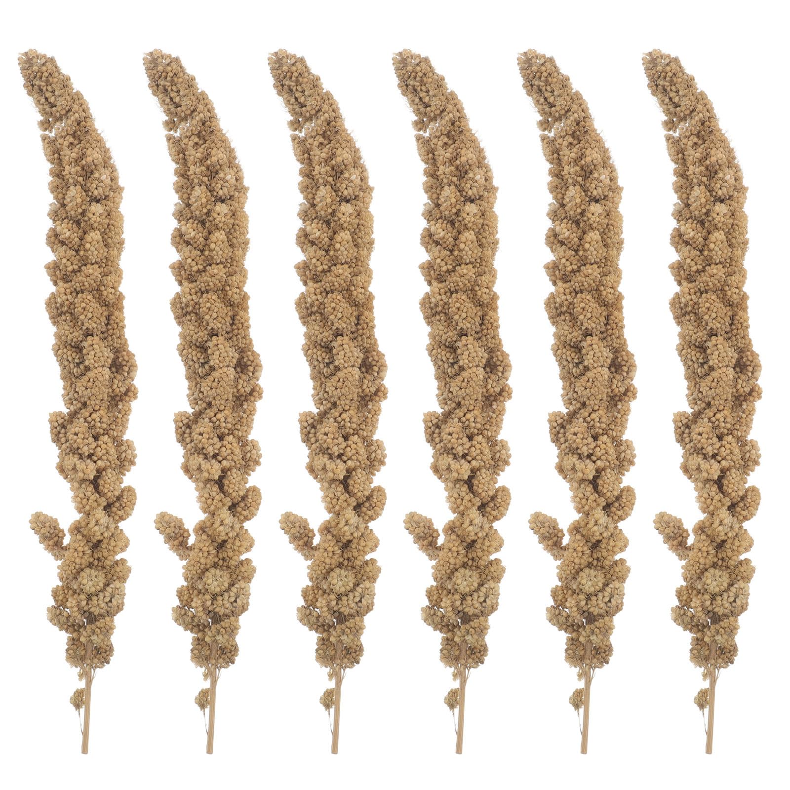 Millet séché pour oiseaux friandises naturelles de recherche sauvage
