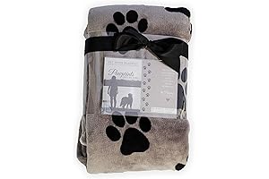 Pawprints Left by You, Paw-fect Comfort Through Pet Loss