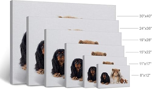Vista 61 de Smile Art Design Border Collie Bulldog Rottweiler Cachorro Persa Gatito Animal Lienzo Impresión Arte de Pared Pet Cat Dog Lover Sala Dormitorio
