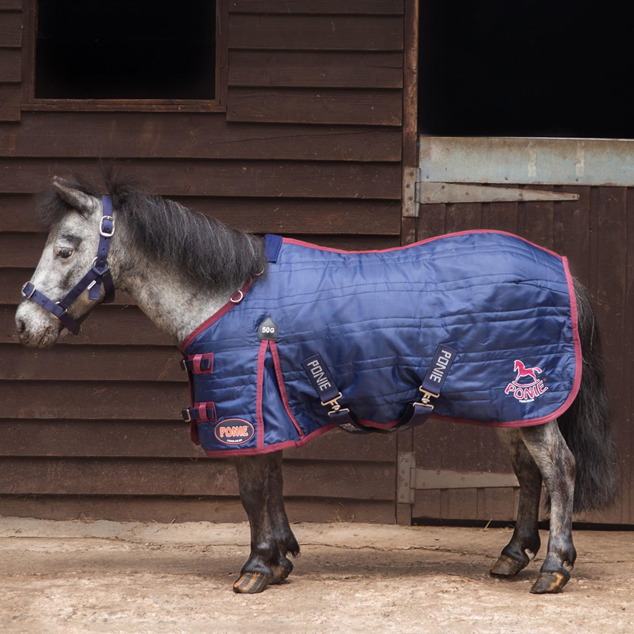 Gallop Ponie Trojan 50g Stable Rug, 4'9