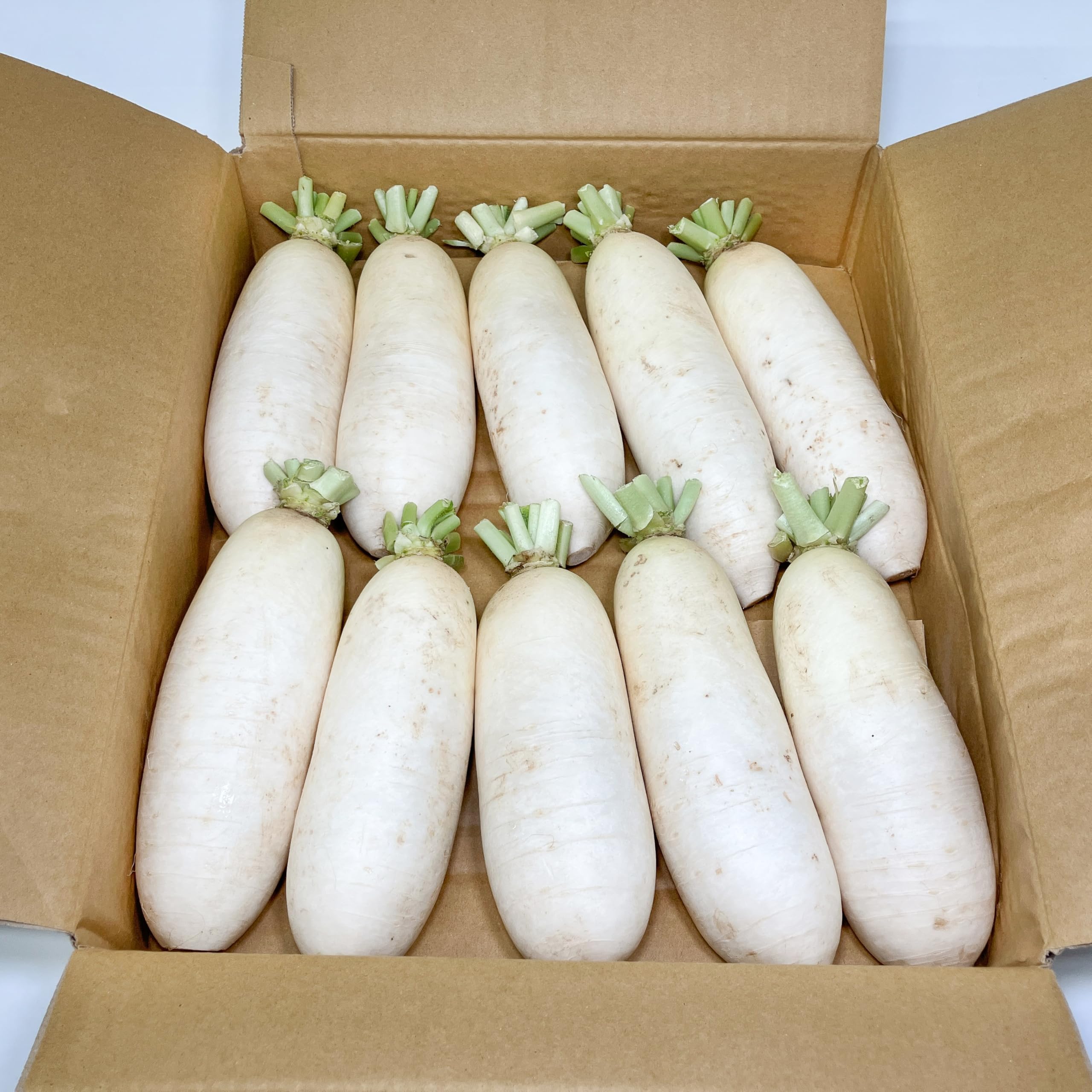 Amazon.co.jp: 【夏場は順次発送】 大根 辛味大根 群馬県産 10～12本 A