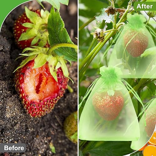 Miniatura 3 de SumDirect 100 bolsas de protección de frutas, bolsas pequeñas de malla verde de 4 x 6 pulgadas con cordón, bolsas de cubierta de red, barrera de