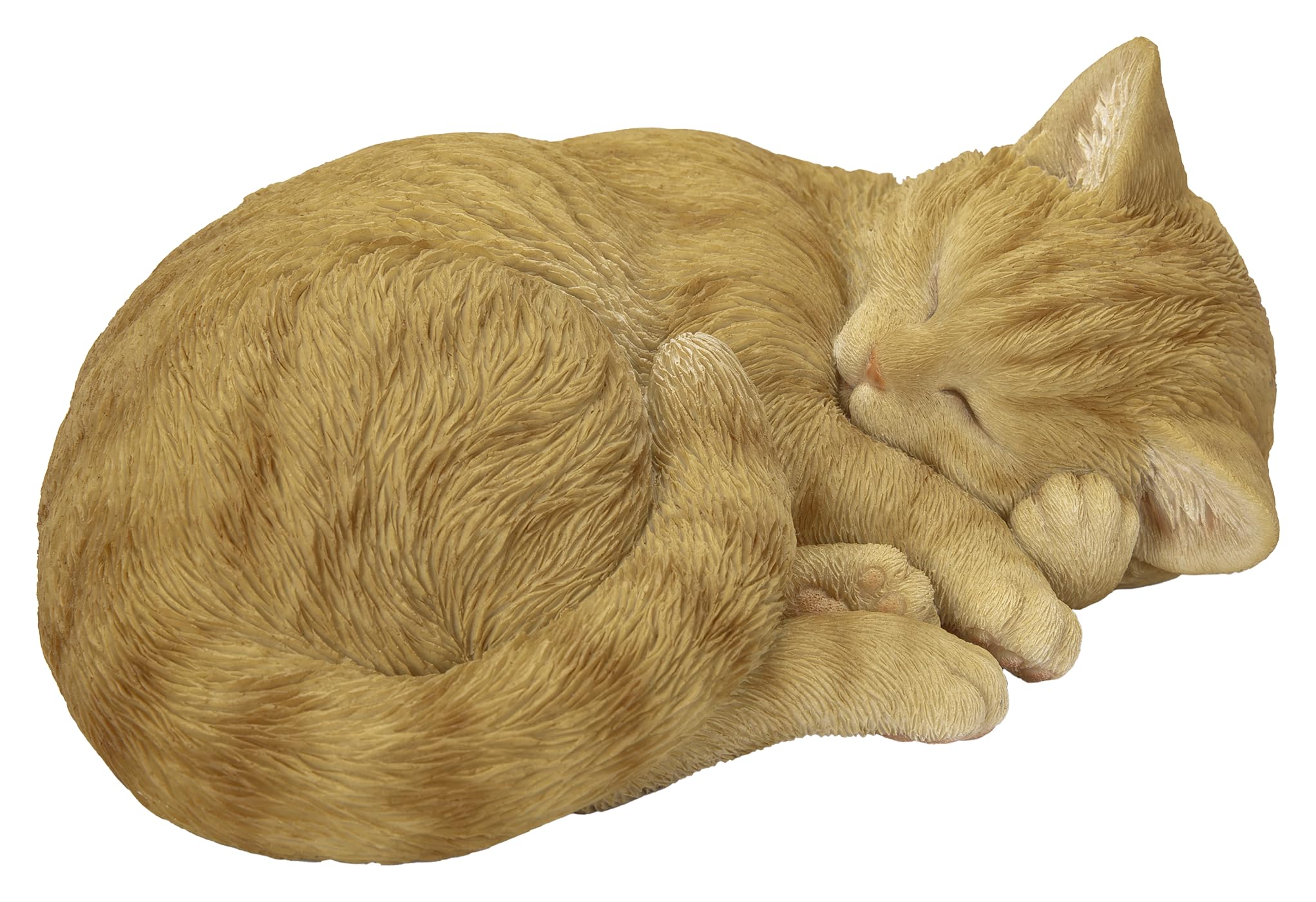 Vivid Arts - Sleeping Cat Ginger - XRL-ZC31-D