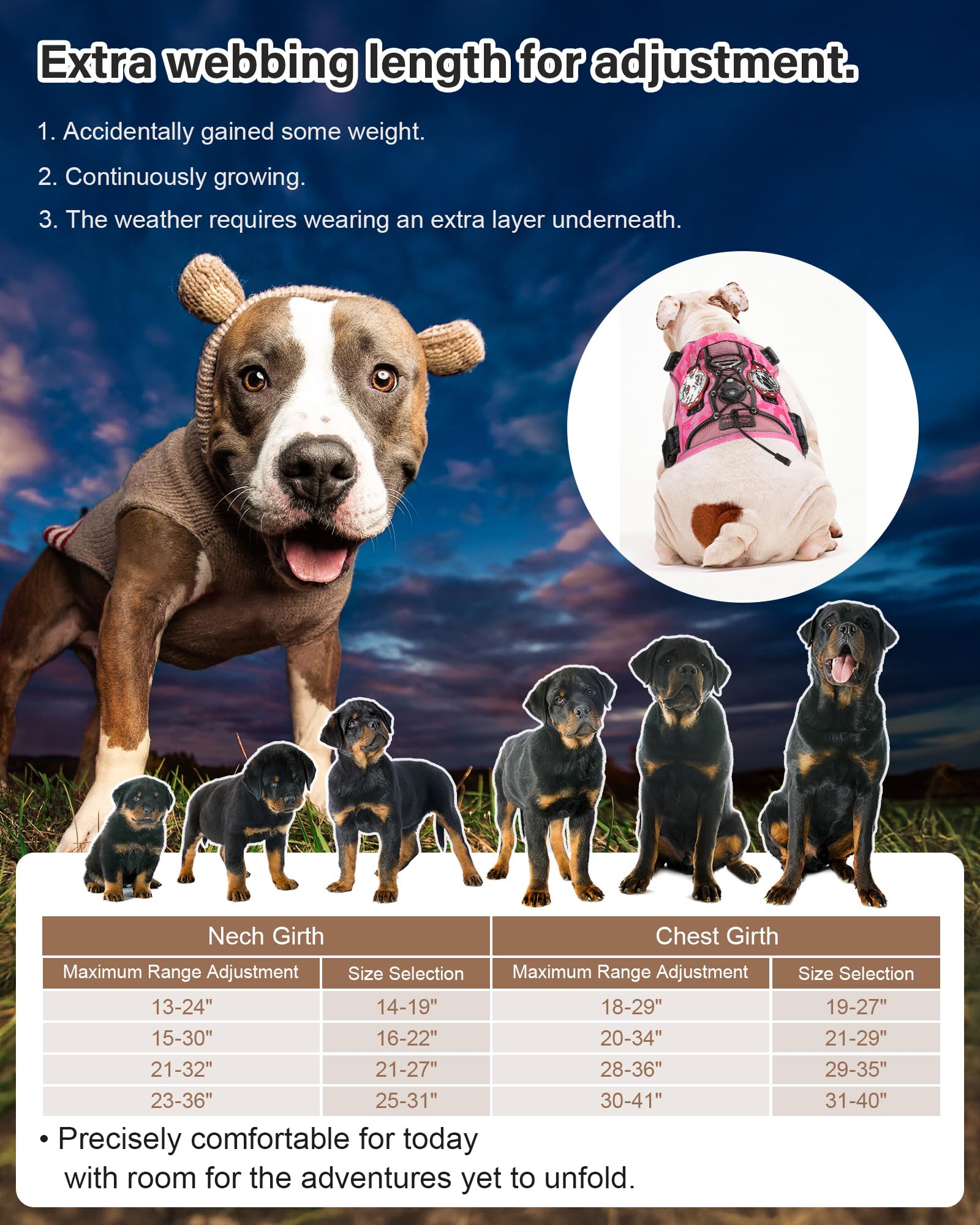 Petnanny Breathable Tactical Dog Harness - No-Pull Training Vest for Medium Breeds | Service-Ready w/Reflective Strips, Handle & AirTag Pocket | Escape-Proof for Walks & Hiking - image 6