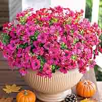 Amazon.com: HyeFlora Artificial Flowers for Outdoor Indoor