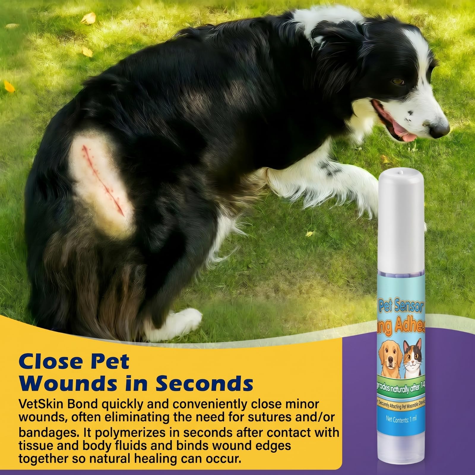 1ml Veterinary Surgical Skin Glue with 10 Applicators, Fast Acting Wound Tissue Glue Sealant, CGM Sensor Adhesive for Pet with Blue Tint for Precise Application, Stay Secure for 10-14 Days — Amazon image 3