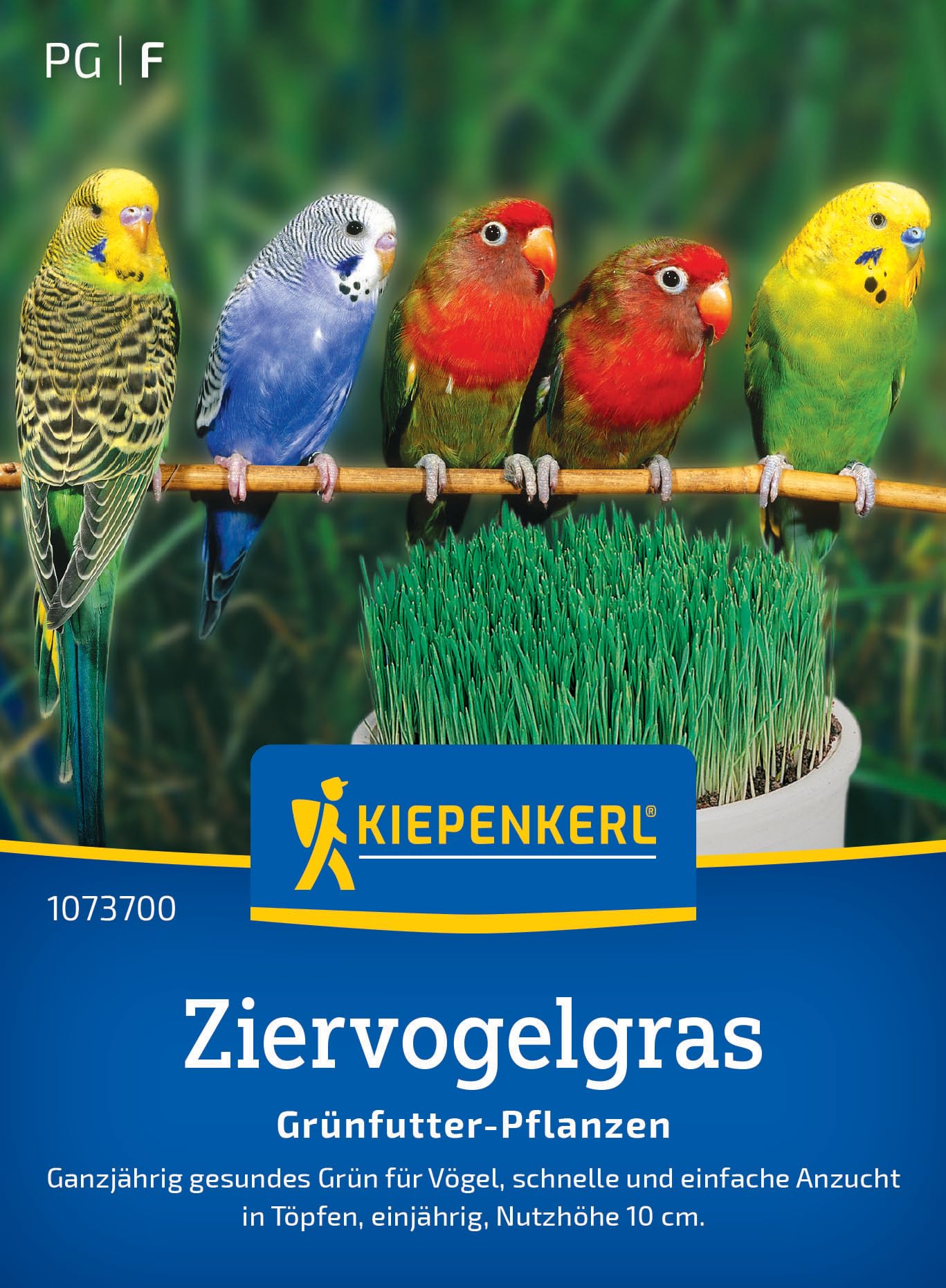 Kiepenkerl Ziervogelgrassamen Frischgrün Mischung 1073700 – ganzjährig - gesund - schnell und einfach - einjährig - Anzucht in Töpfen - Saatgut, Grassamen