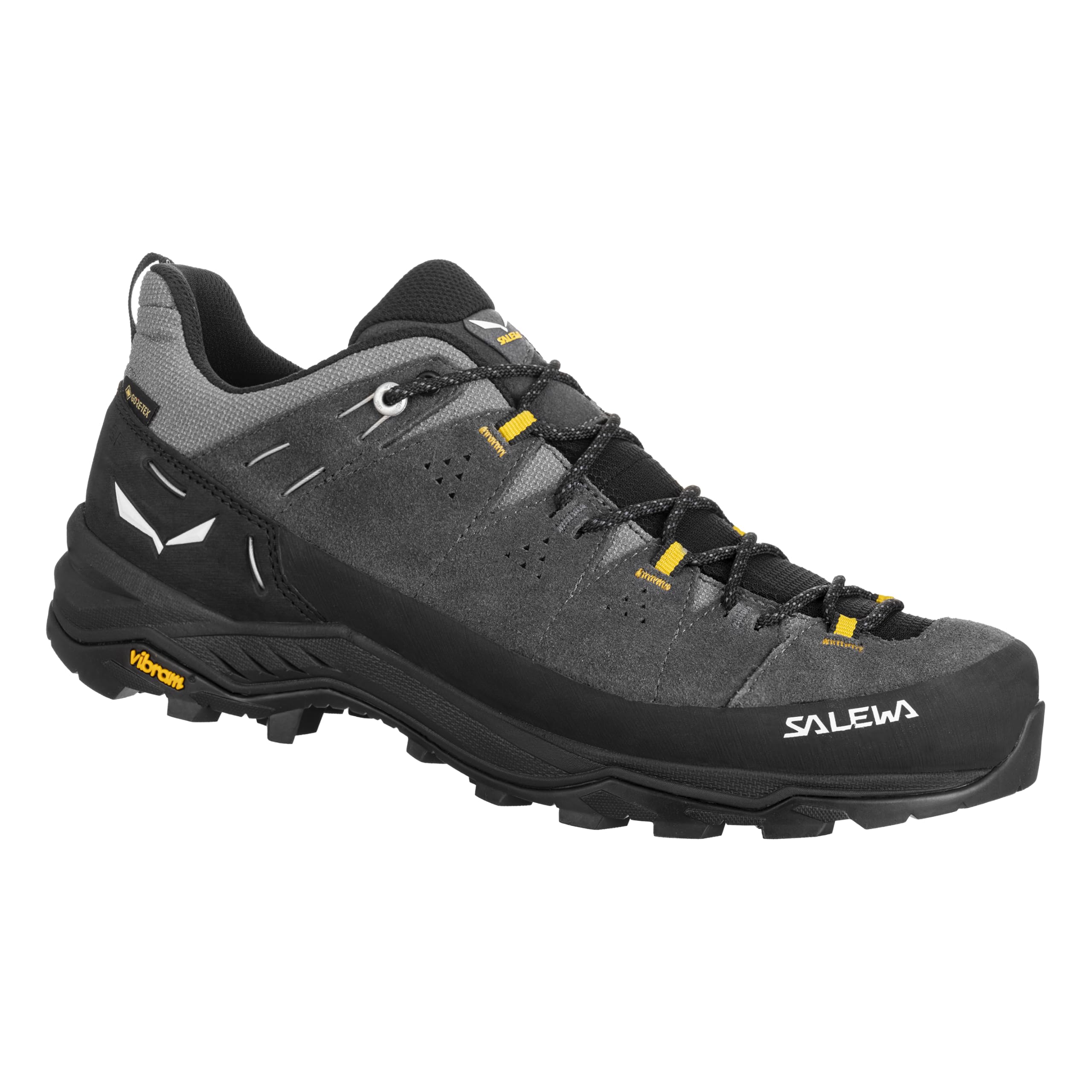 Salewa Men's Noir Hiking Shoes Alp Trainer 2 Gtx
