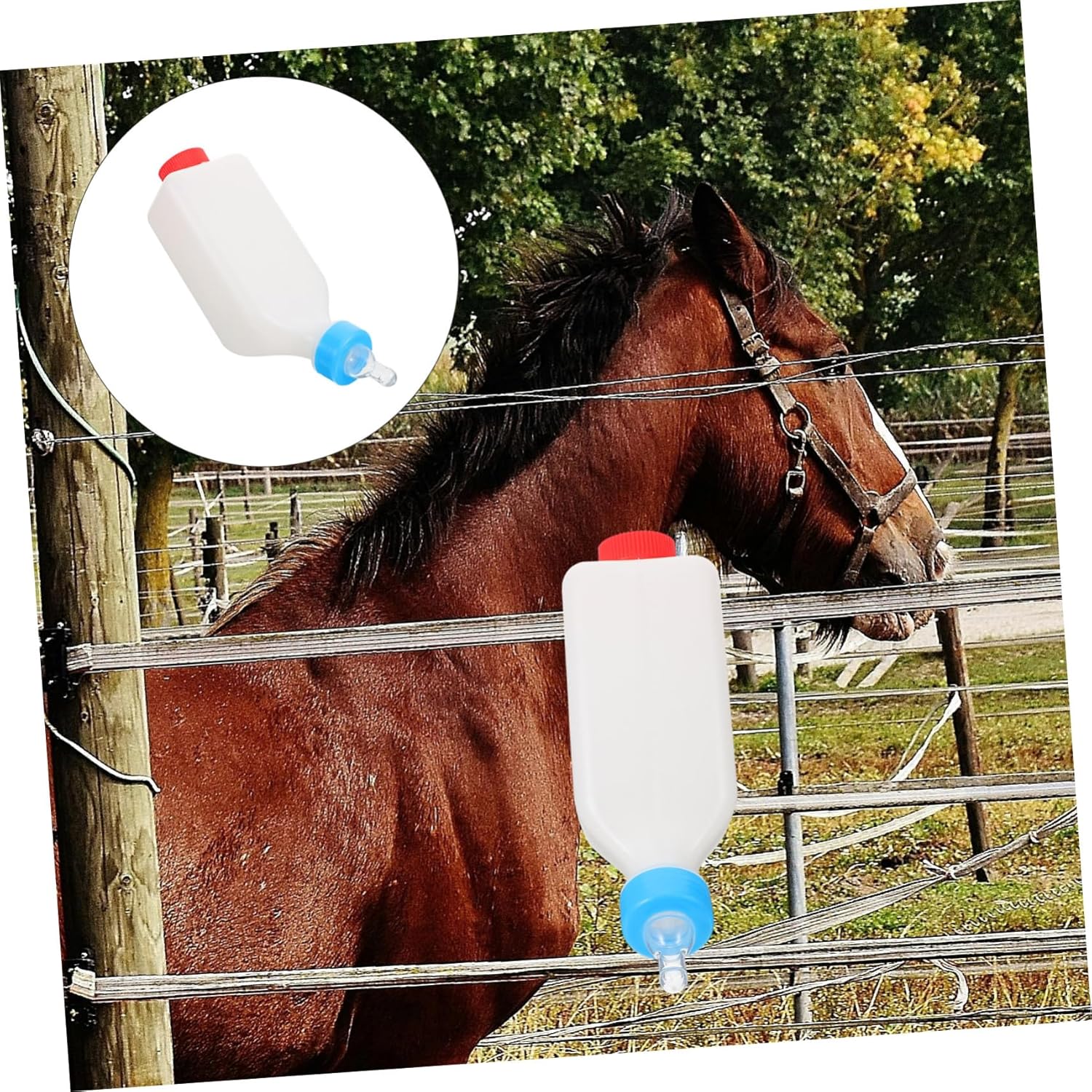 HANABASS 4pcs Milk Bottles Lids for Goats Calf Nursing Bottle Livestock Feeding