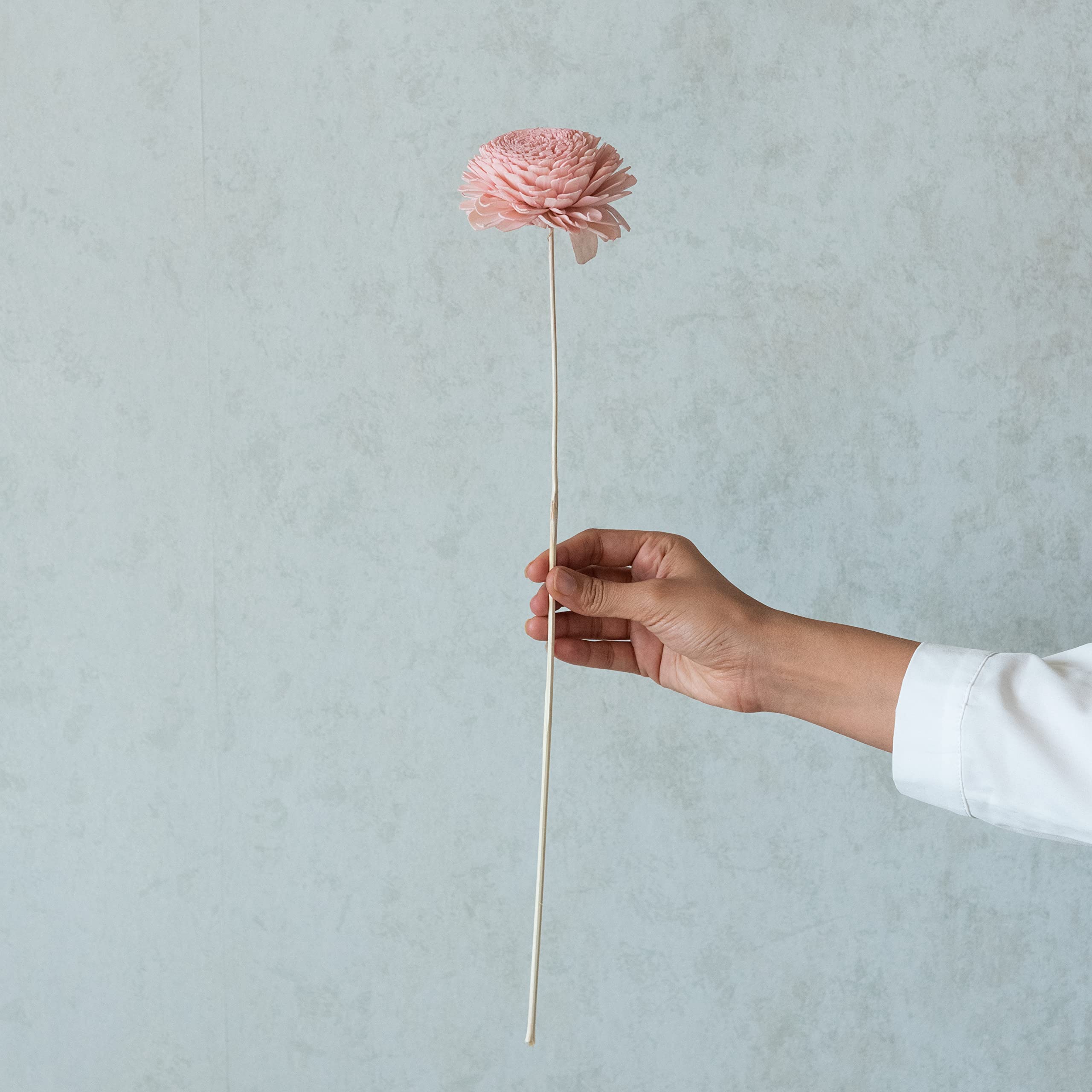 Flowers and Fillers || Pink Sola Belly Flowers On Stem | Natural Dried Flower | Eco-Friendly Flowers for Home, Office, Bedroom, Table Decoration and Craft Items Corner (Without Vase Pot) 4