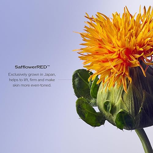 Miniatura 7 de Shiseido Vital Perfection Crema estimulante y reafirmante - Hidratante antienvejecimiento para piel normal a seca - Levanta y reafirma visiblemente