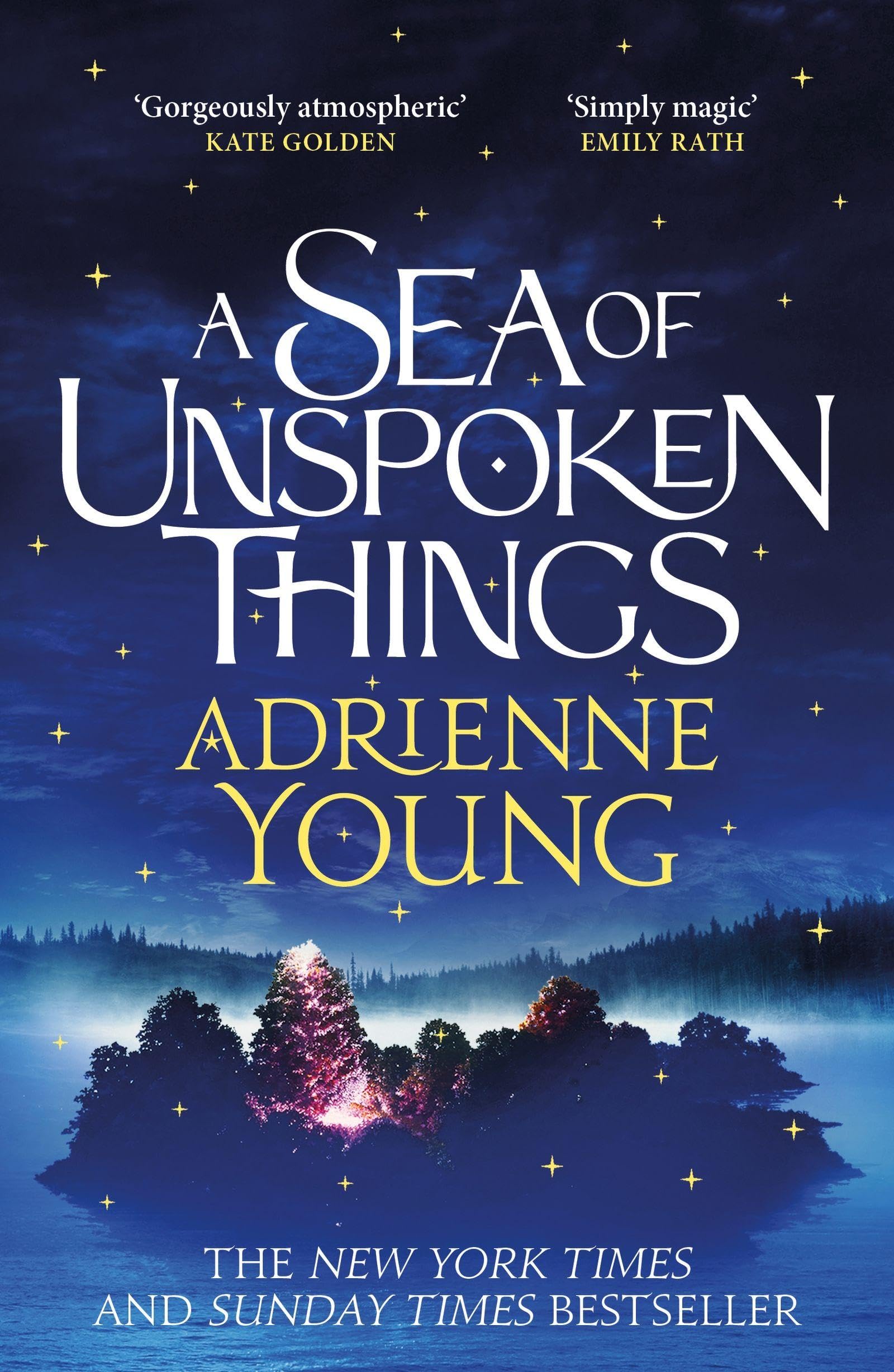 A Sea of Unspoken Things : a spellbinding mystery to lose yourself in
