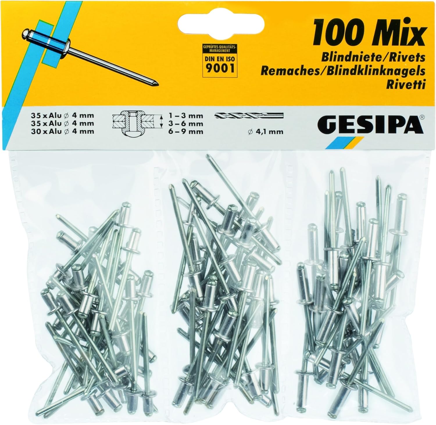 Gesipa 639.11 Blind Rivet Assortment, Pack of 100
