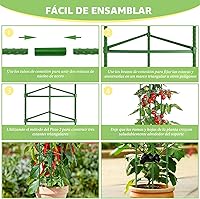 Vista 4 de Legigo Paquete de 6 jaulas de tomate para soporte de plantas de jardín, estacas de jardín de hasta 48 pulgadas, jaula de tomate para plantas