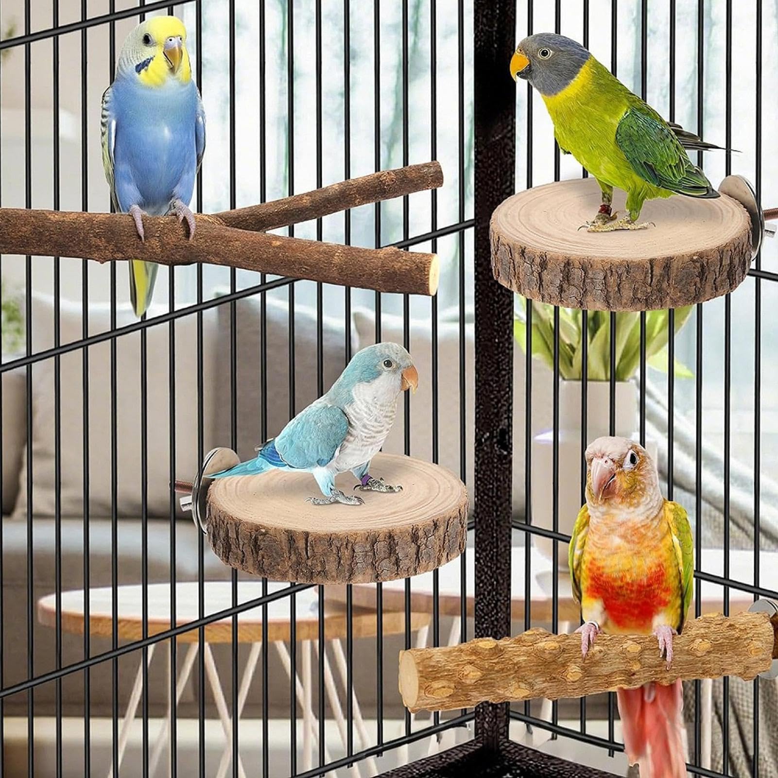 Perchoirs Pour Oiseaux De Cage Set plateau repos oiseaux en bois