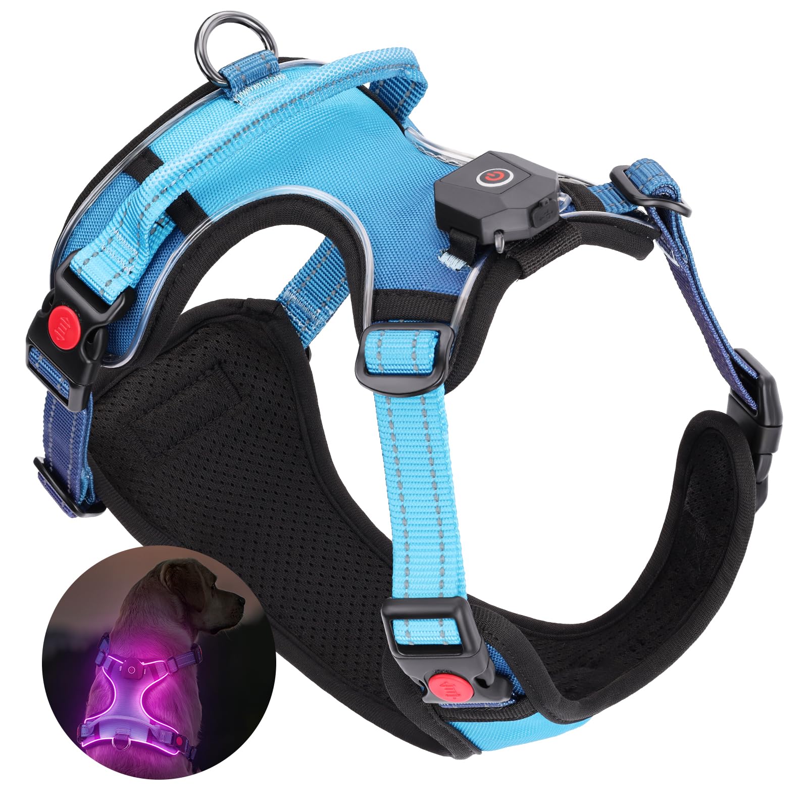 Arnés Iluminado Para Perro Recargable - LED Ajustable E Impermeable, Para Perros Medianos Y Grandes | Ideal Para Paseos Nocturnos Seguros