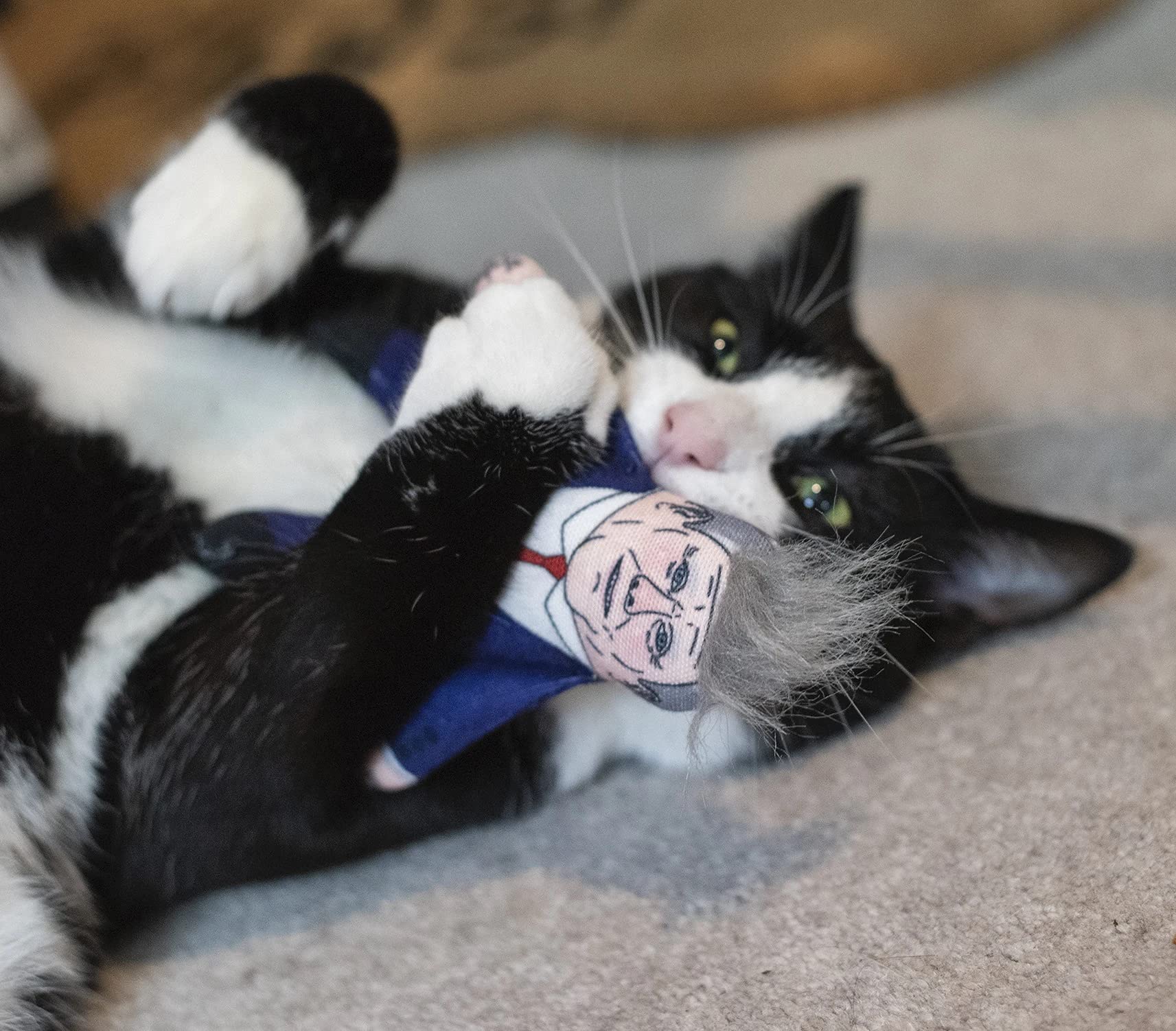 Pet Hates Toys Political Leaders Soft Cat Toys With Cat Nip (Keir Starmer Regular) - Image 4
