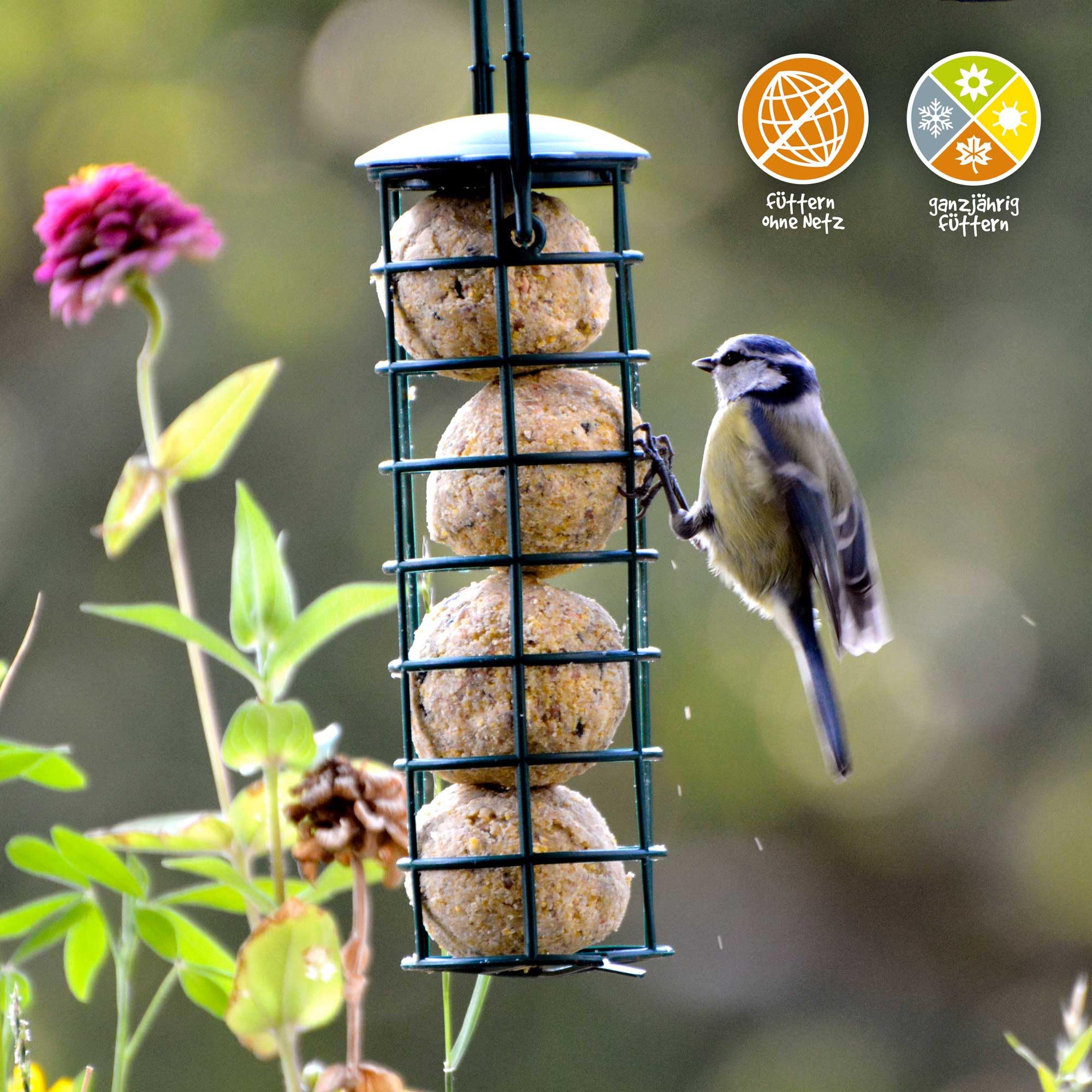 dobar 100 Bolas de Masa sin Red, Incluye Mezcla de Semillas, forraje graso para Aves Silvestres, albóndigas para Todo el año de 90 g, alimento para pájaros de 9 kg, Color Natural