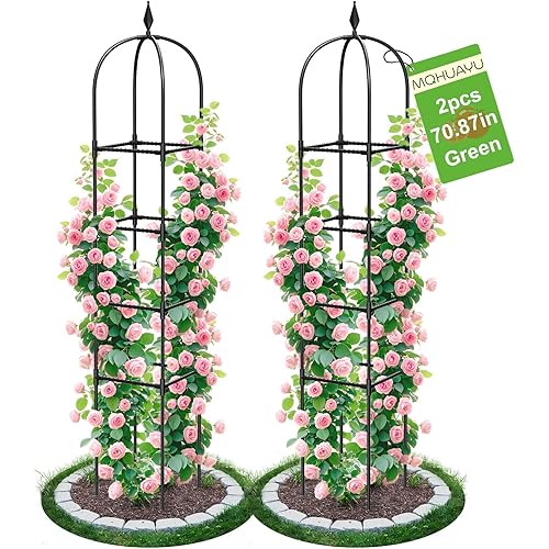 2 Pack Garden Obelisk Trellis for Climbing Plants, 71" Metal Rustproof Plant Support Rose Trellis, Tower Potted Cages for Flowers Fruits Vegetable Vines Indoor & Outdoor, Black(4 Tiers)