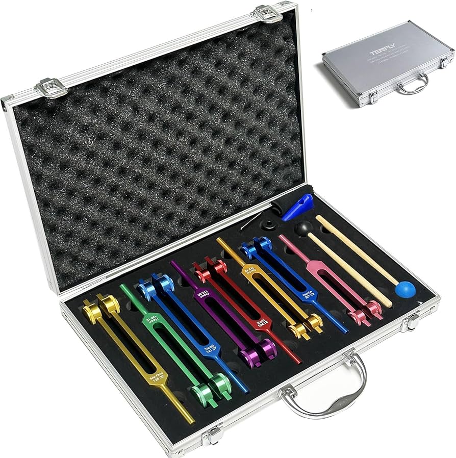 Amazon.com: Chakra Tuning Forks Set for Healing, 7 Chakra+1 Soul
