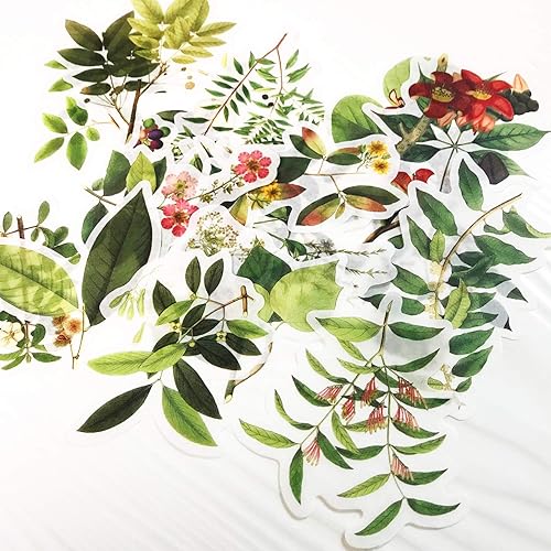 Miniatura 2 de Doraking - Juego de 60 calcomanías decorativas para laptop, diseño de plantas verdes decorativas para laptop, sobres, álbumes de recortes, cuaderno,