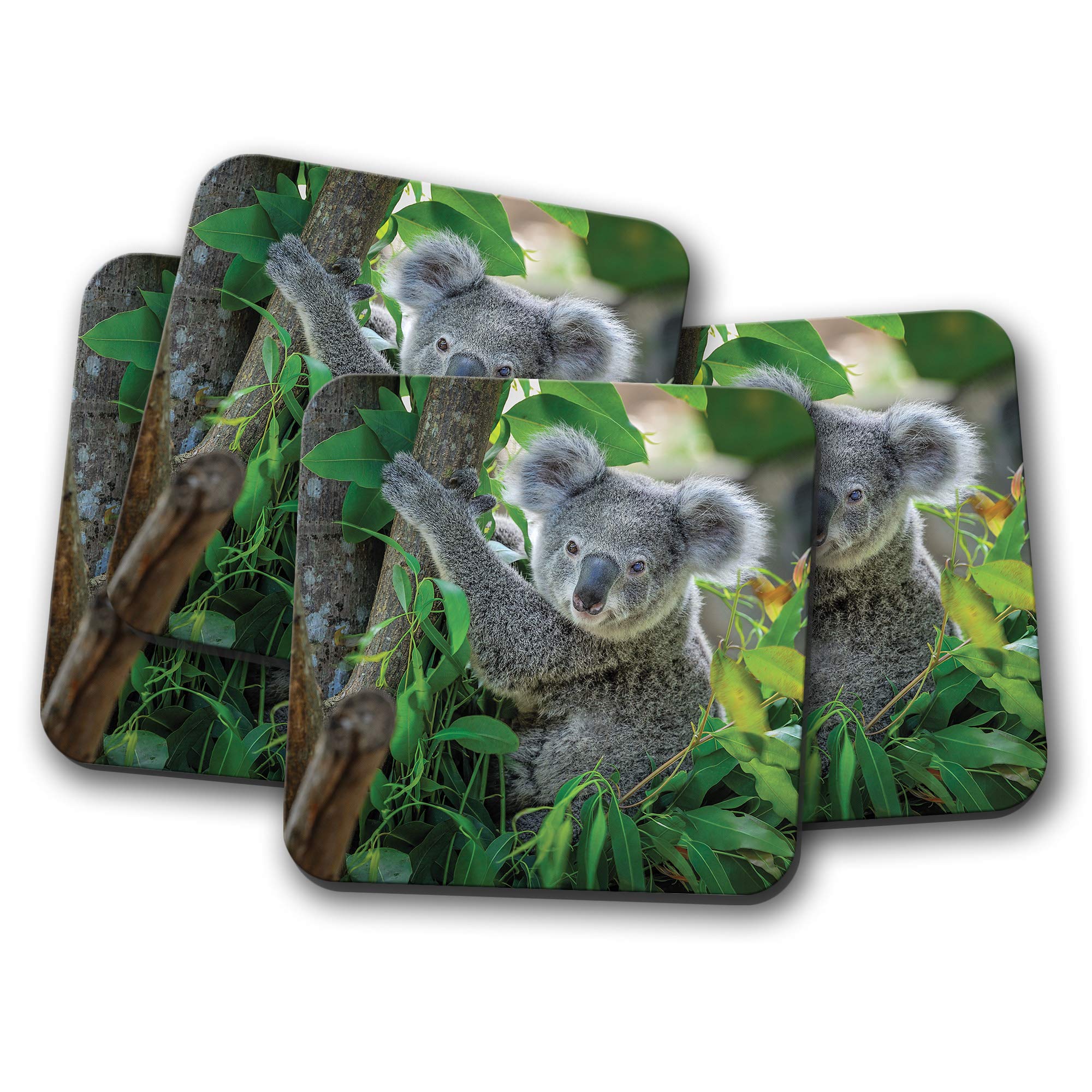 Destinationvinyl Multicolor 4 Set - Koala Bear Coaster - Australian Australia Wild Animal Cute #15042