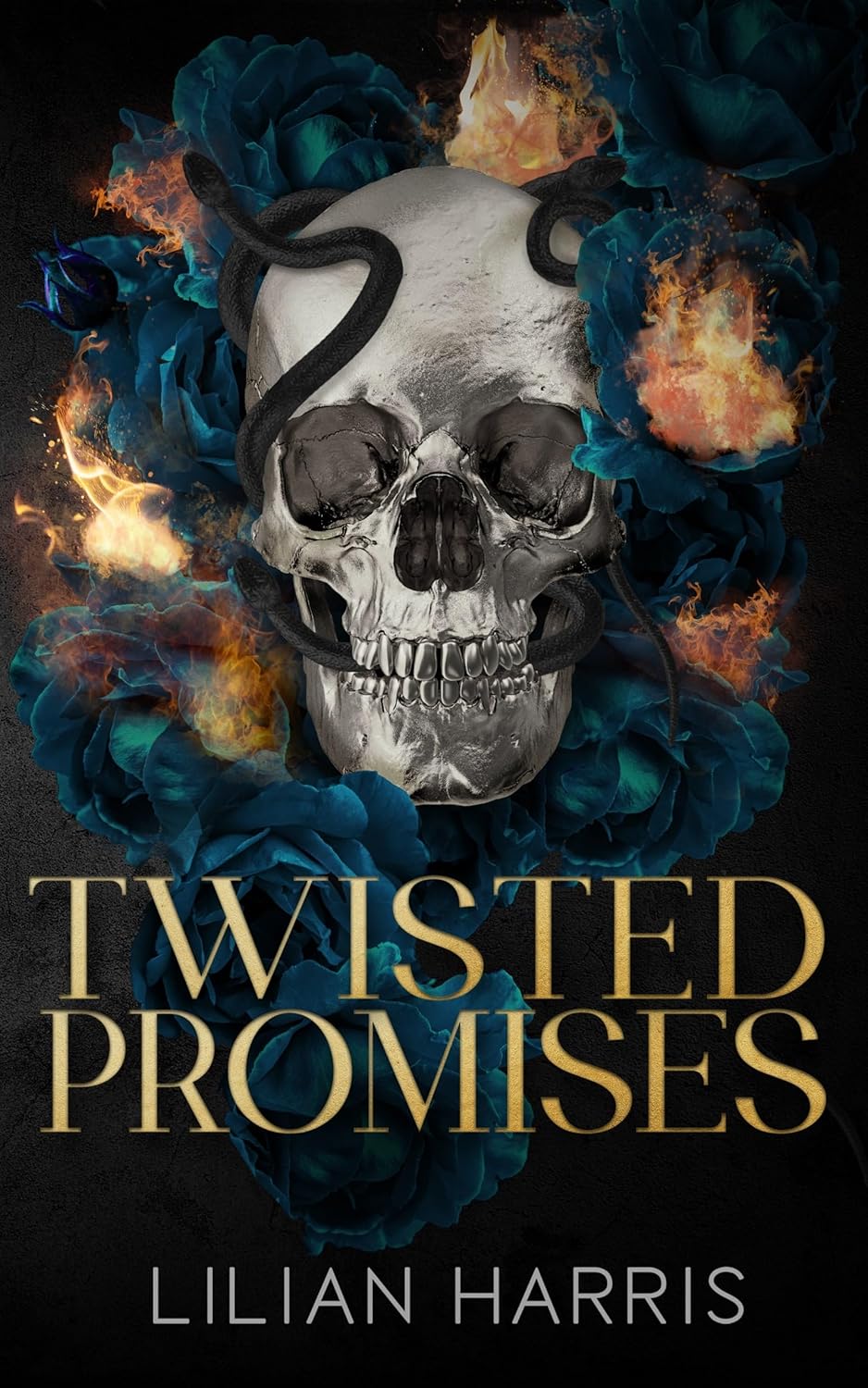 Twisted Promises A Reverse Grumpy Sunshine Mafia Romance (Messina