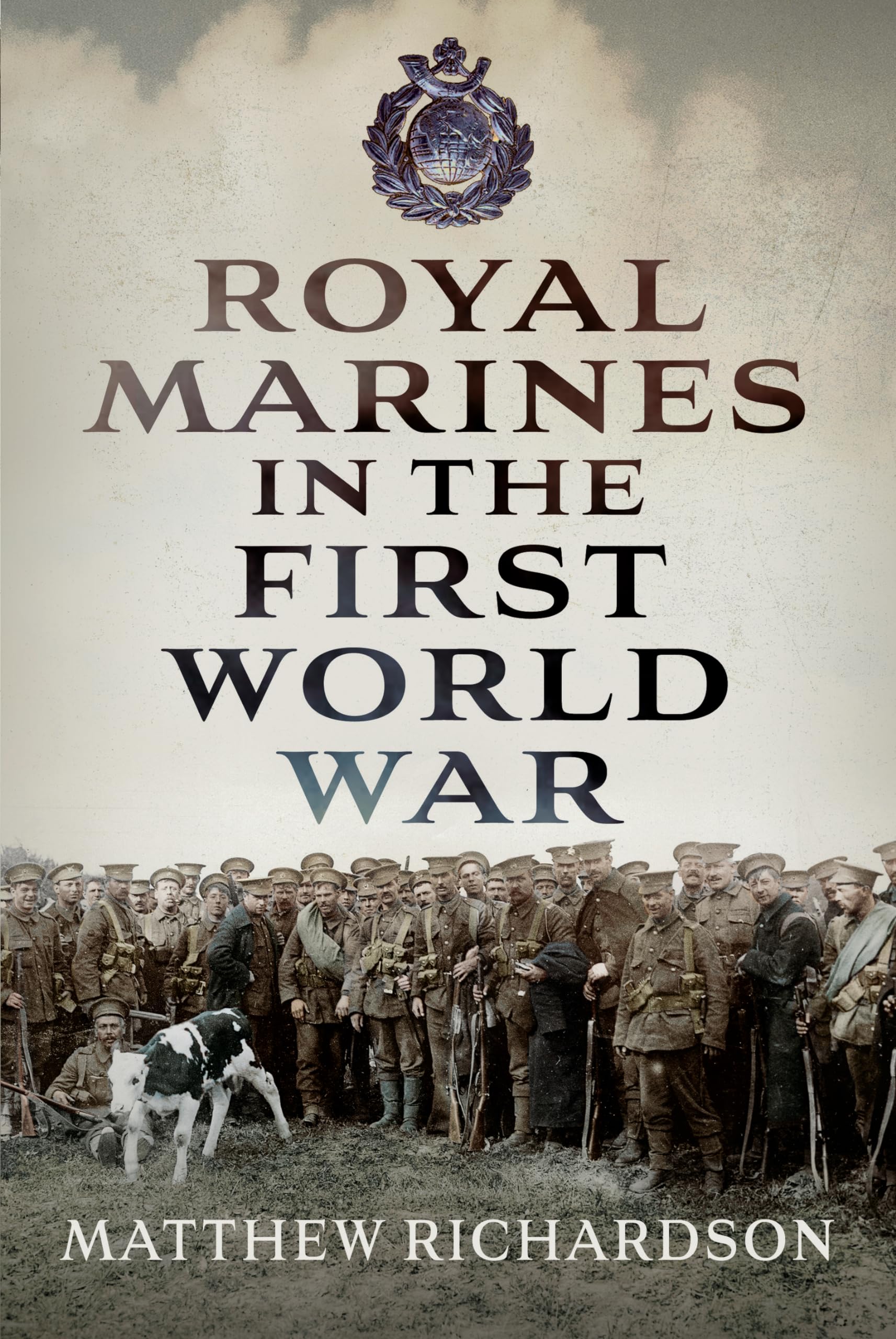 Buy Royal Marines in the First World War — BookShops.in