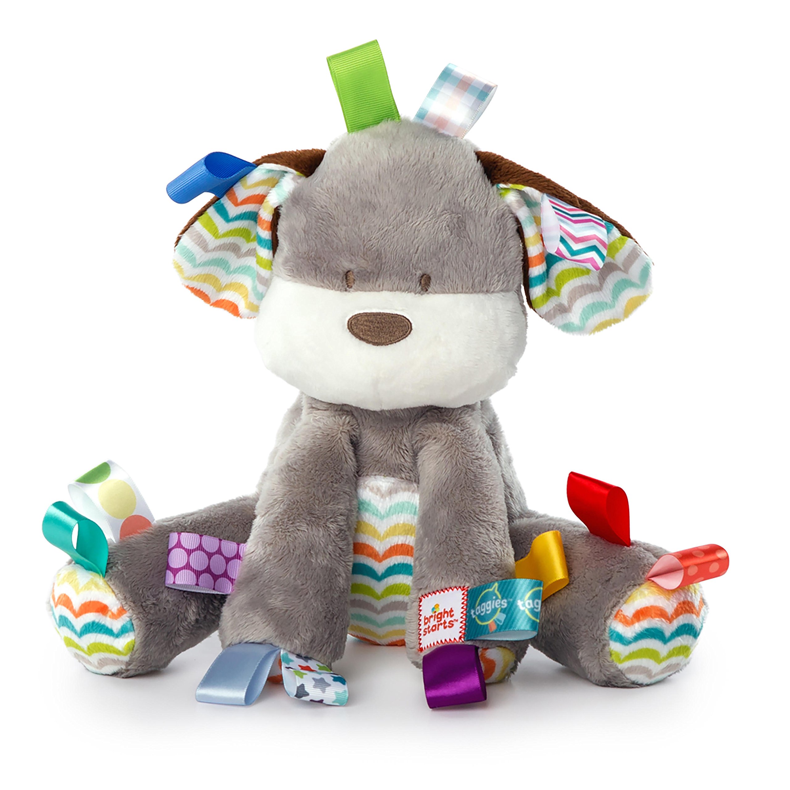 Bright Starts Puppy Tag 'n Play Pal