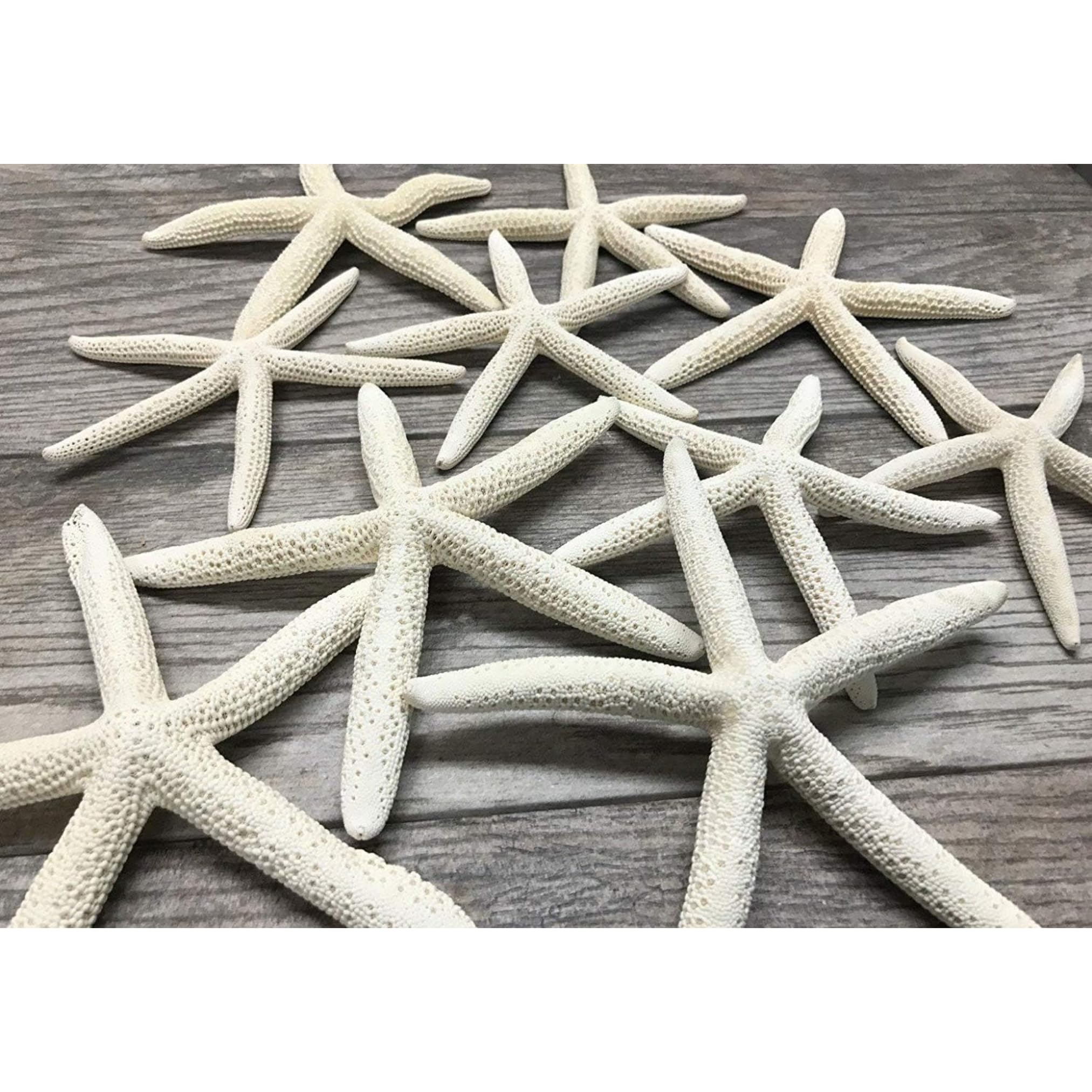Nautical Crush Trading Starfish Decor - Star Fish for Craft - 10pk Real 6-8" White Sea Stars - Beach Wedding Decor - Coastal Party Decorations - Seashell Décor