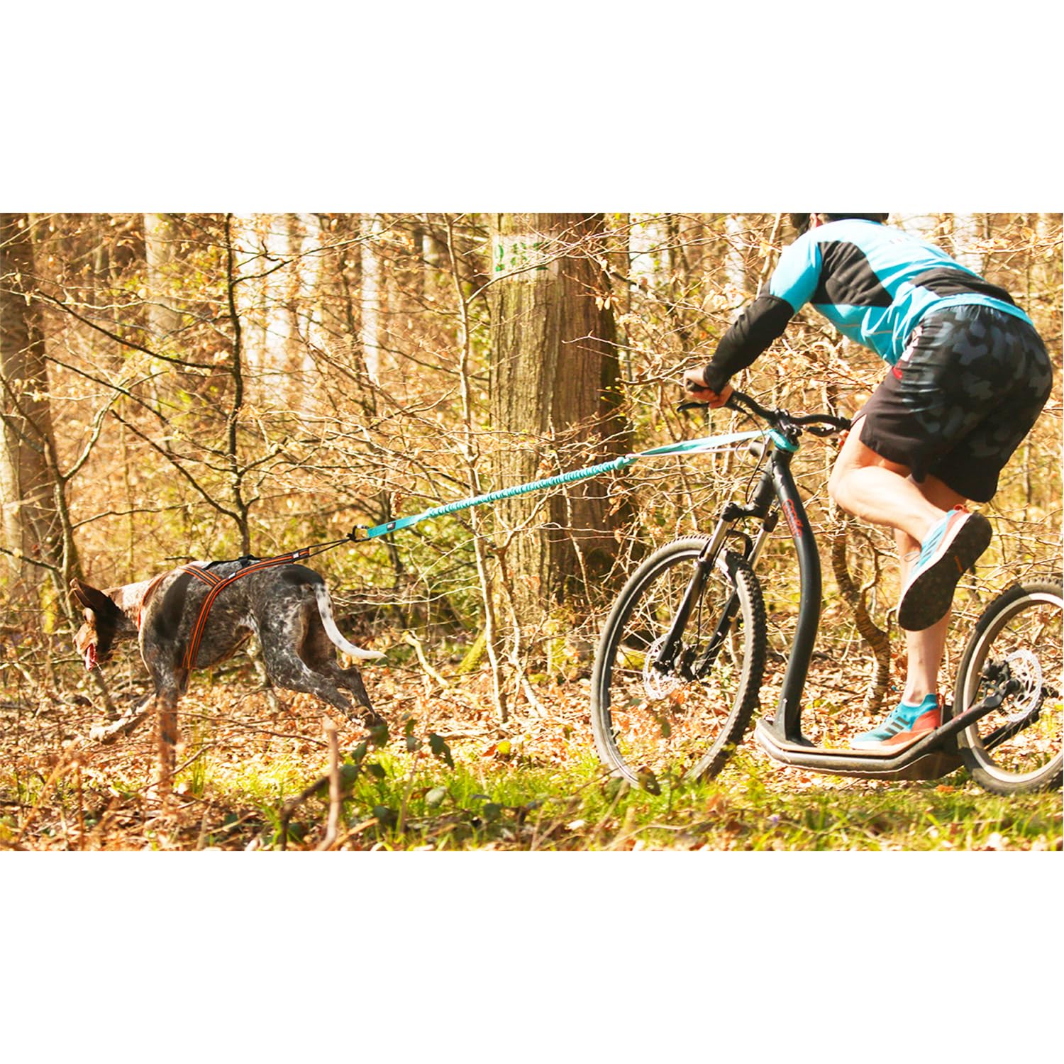 Barre VTT Link Gamme ALM déport 50cm (Roue Jusqu'à 29 Pouces) Barre VTT pour LA Pratique du CANI VTT ET DE LA CANI Trottinette.