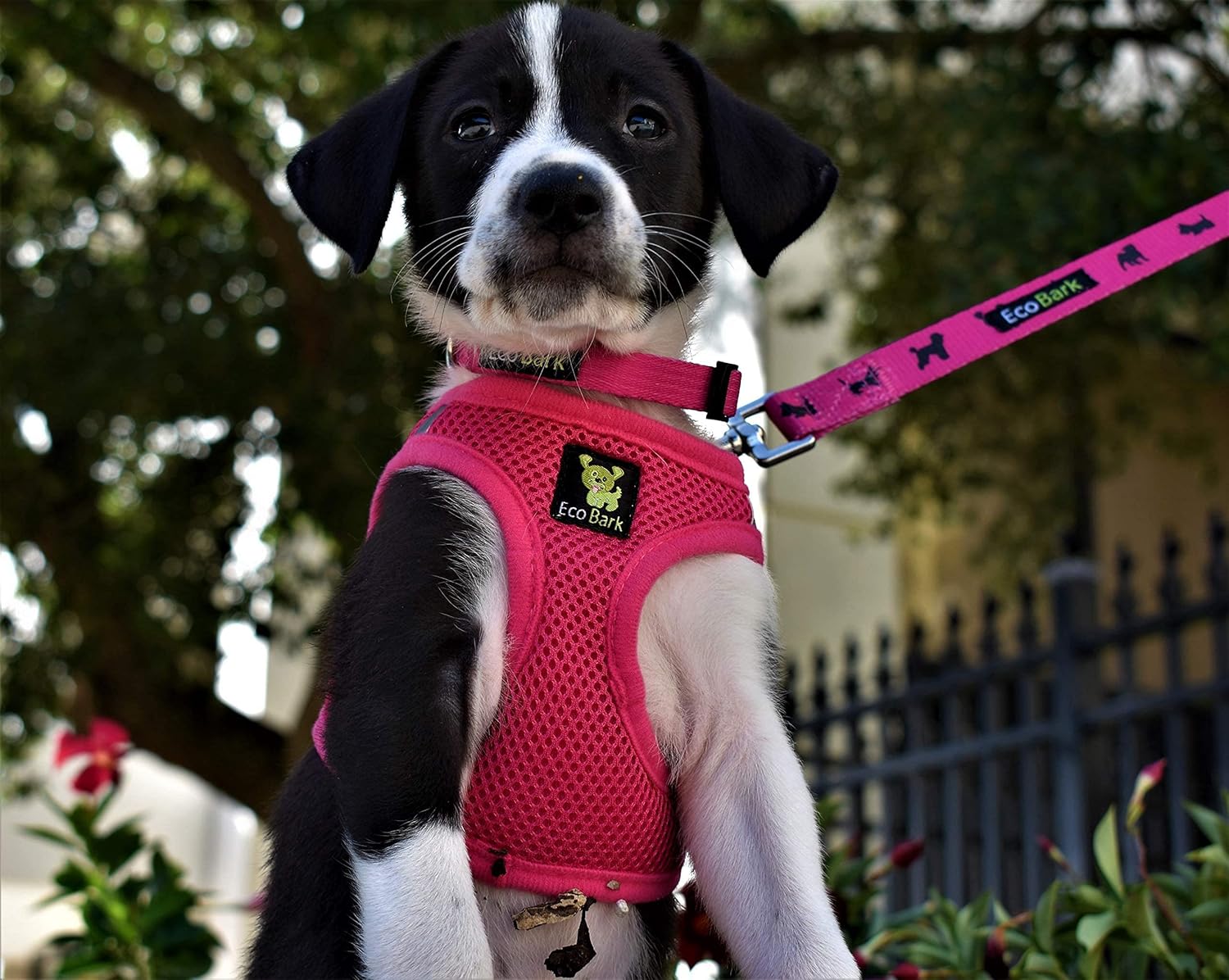 Buy EcoBark Step in Dog Harness Reflective Soft Ultra Padded Mesh Dog