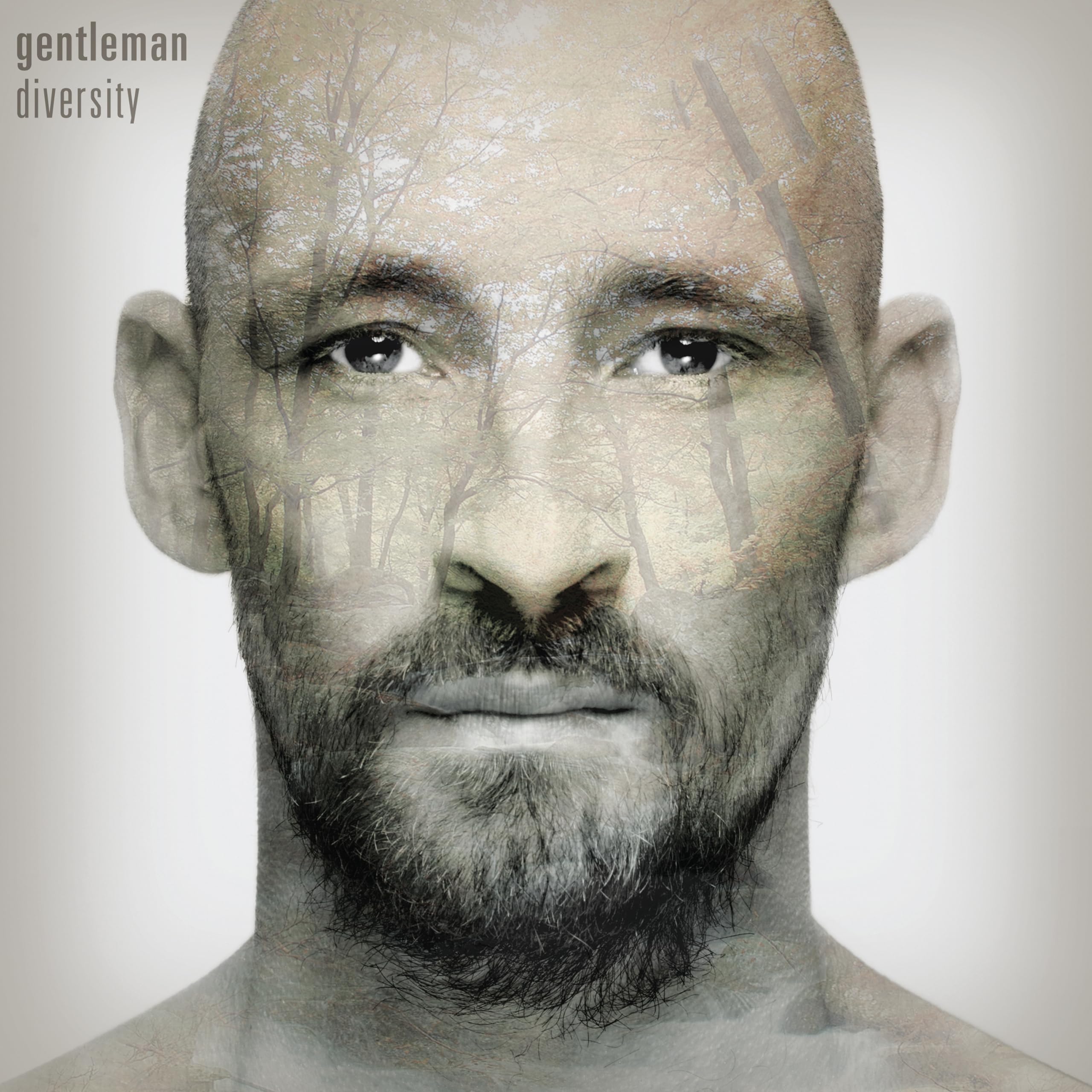 Diversity (Transparent Vinyl) [VINYL]