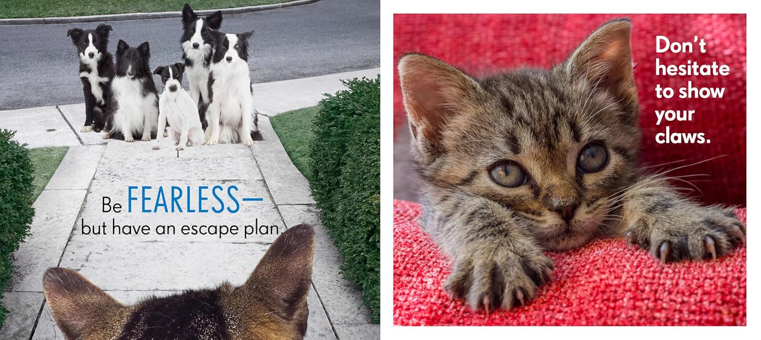 Really Important Stuff My Cat Has Taught Me - Image 3