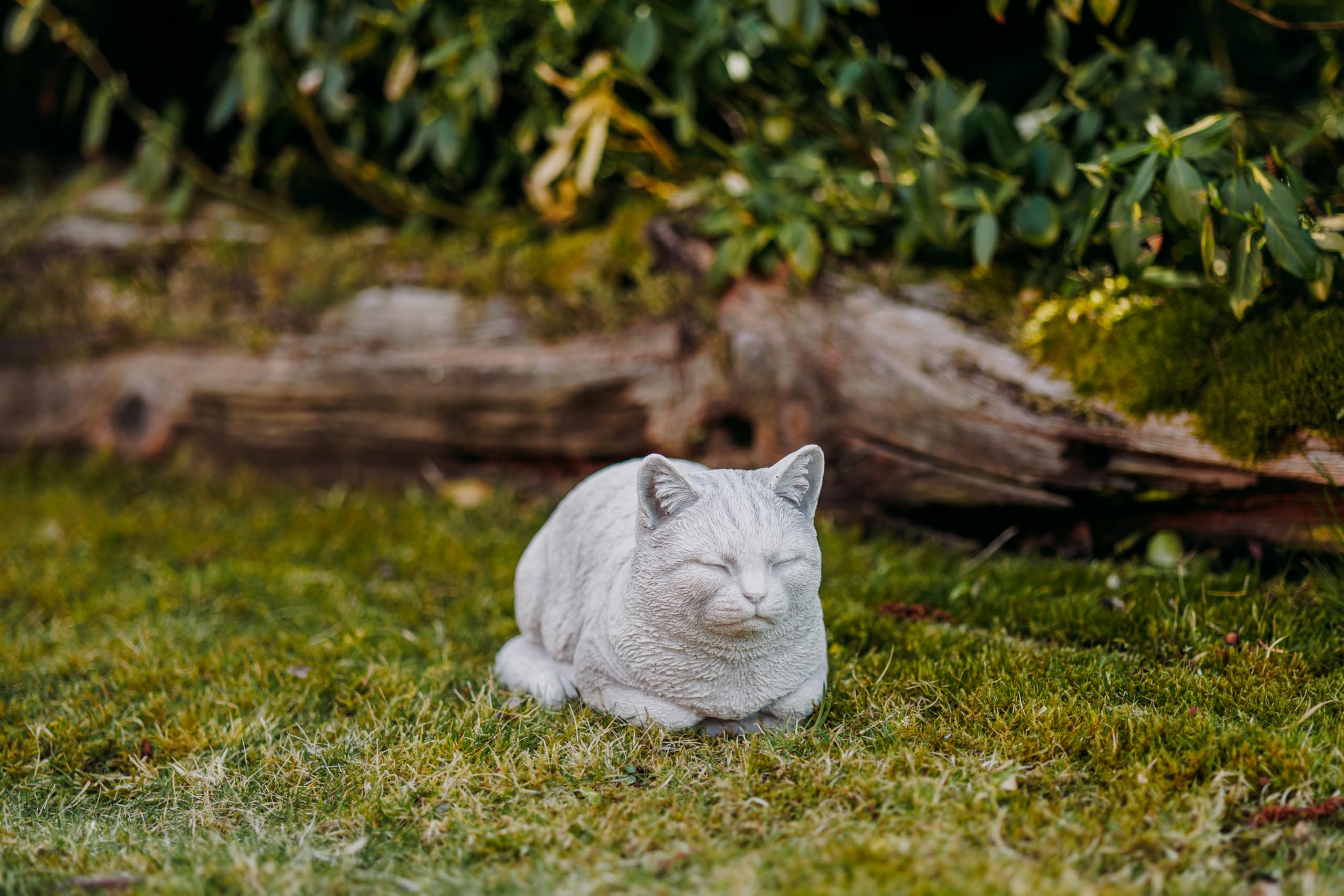 gartendekoparadies.de Massive figura di pietra camera gattino decorazione del giardino della decorazione di pietra espressi frostfest