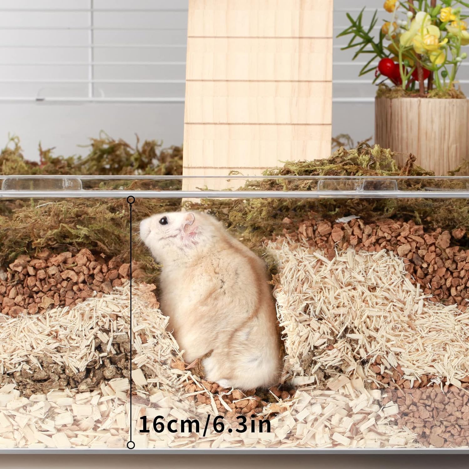 Amazon | BUCATSTATE ハムスターケージ 【飼育に必要な9点が揃った 