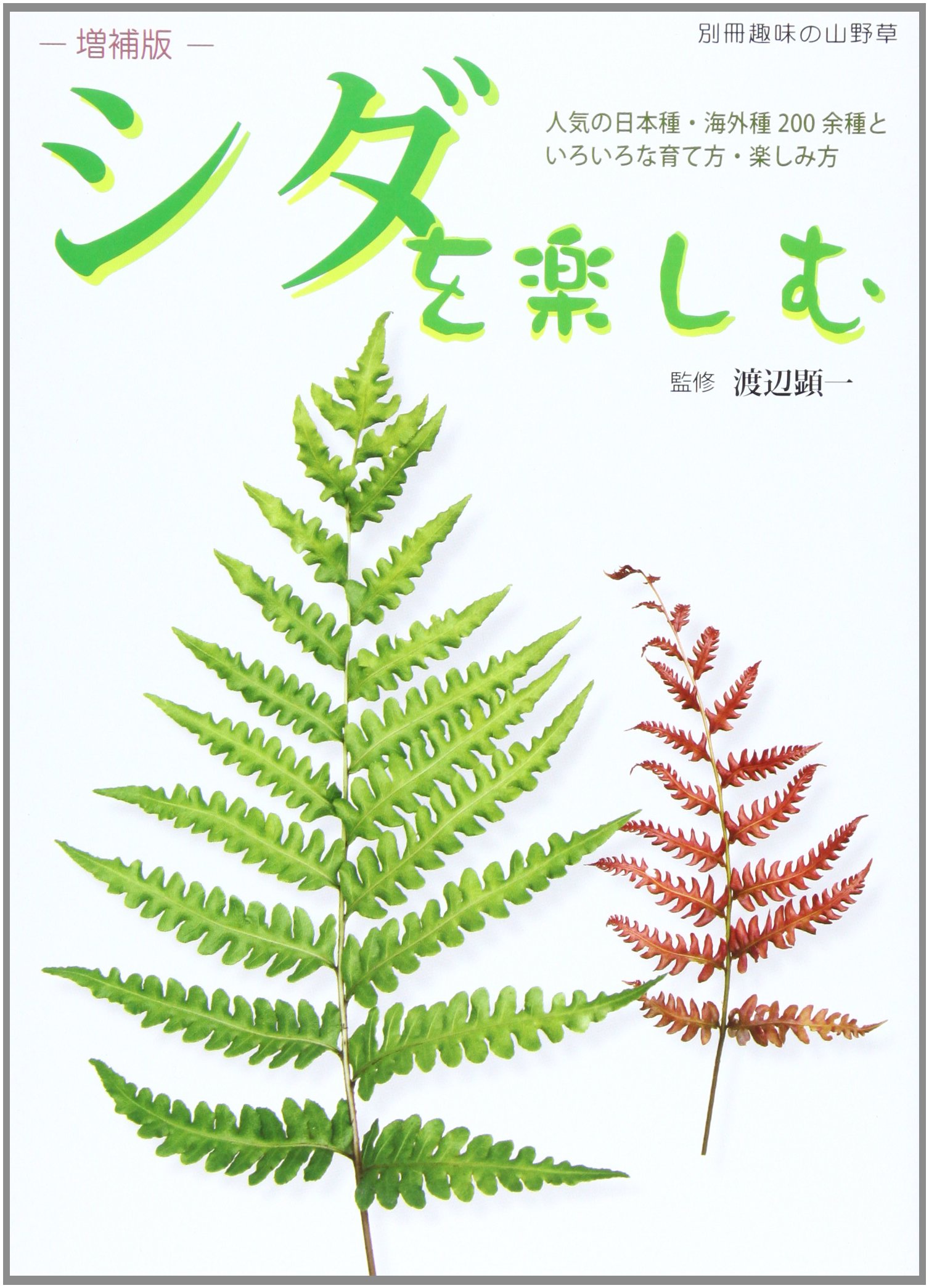 シダを楽しむ 人気の日本種 海外種0余種といろいろな育て方 別冊趣味の山野草 渡辺顕一 本 通販 Amazon